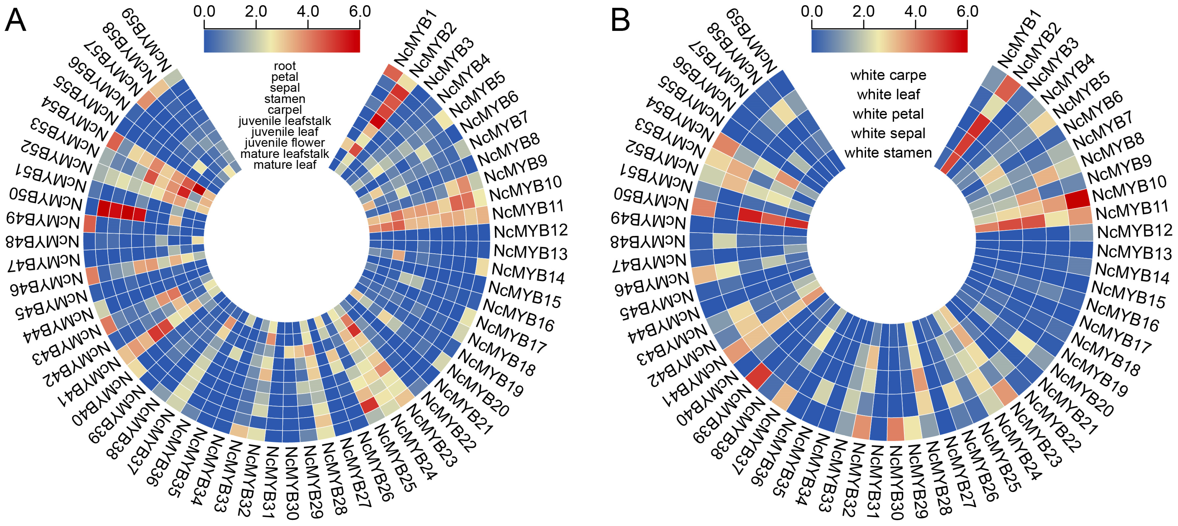 Plants 13 02990 g006