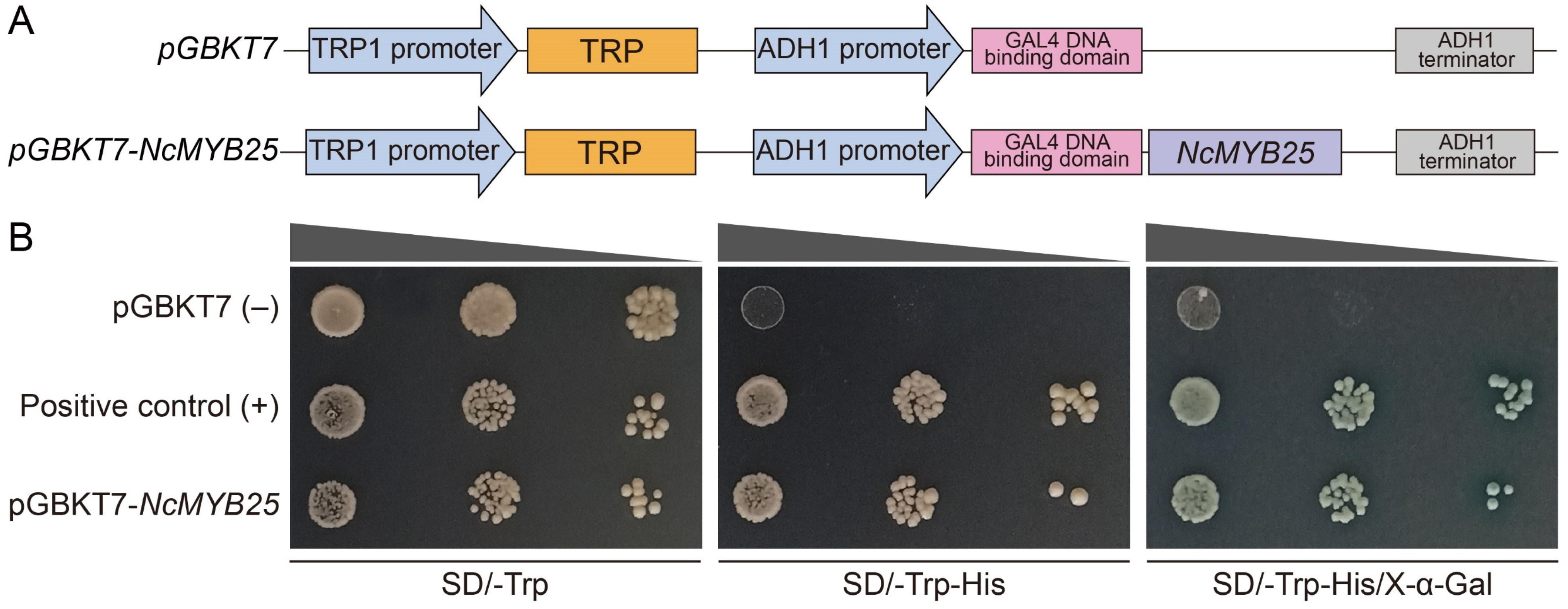 Plants 13 02990 g014