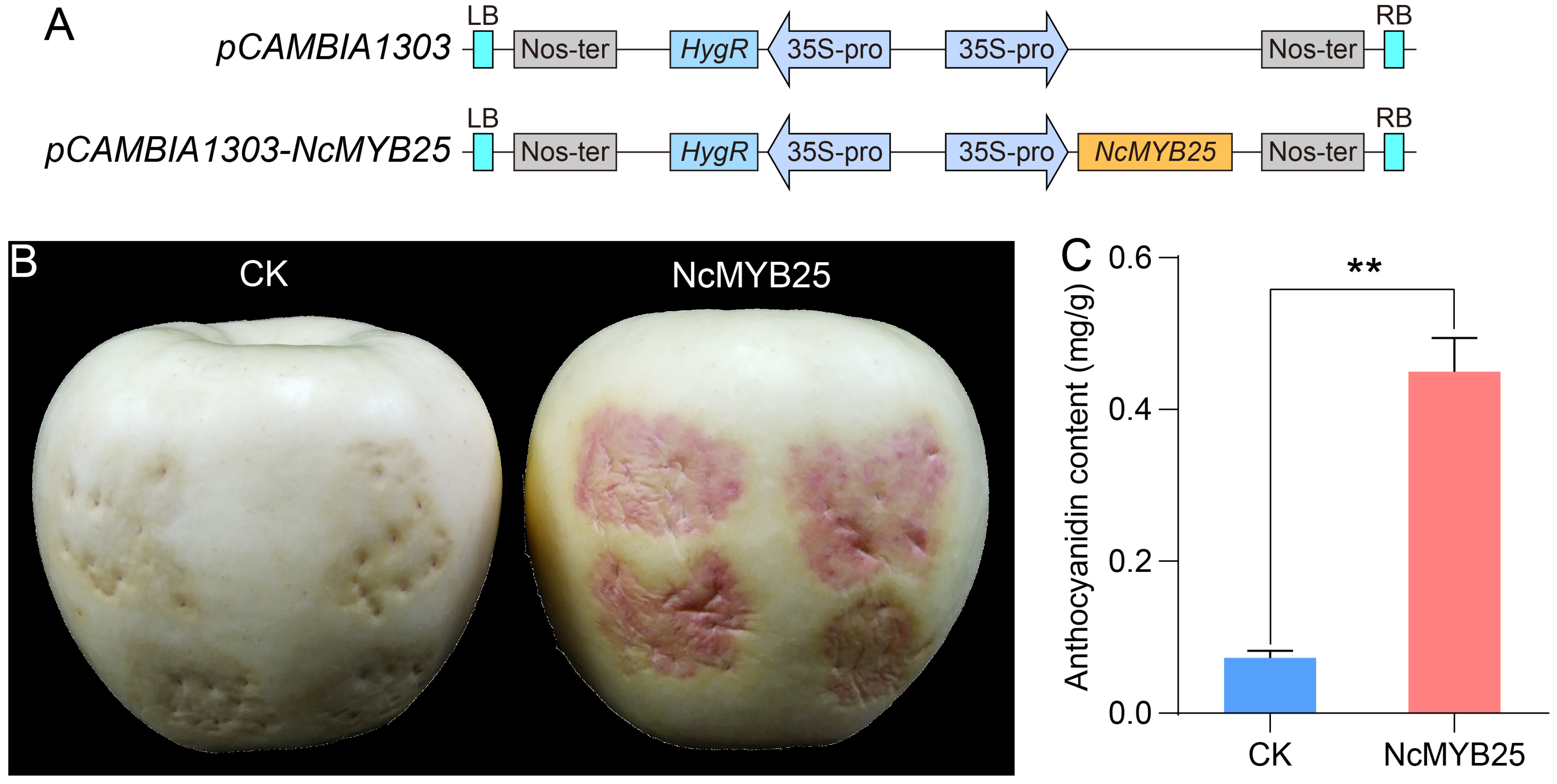 Plants 13 02990 g015