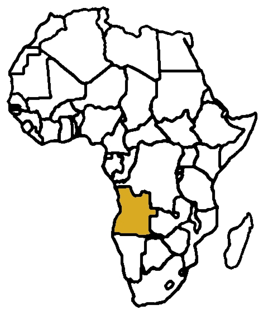 Plants 13 02991 g001