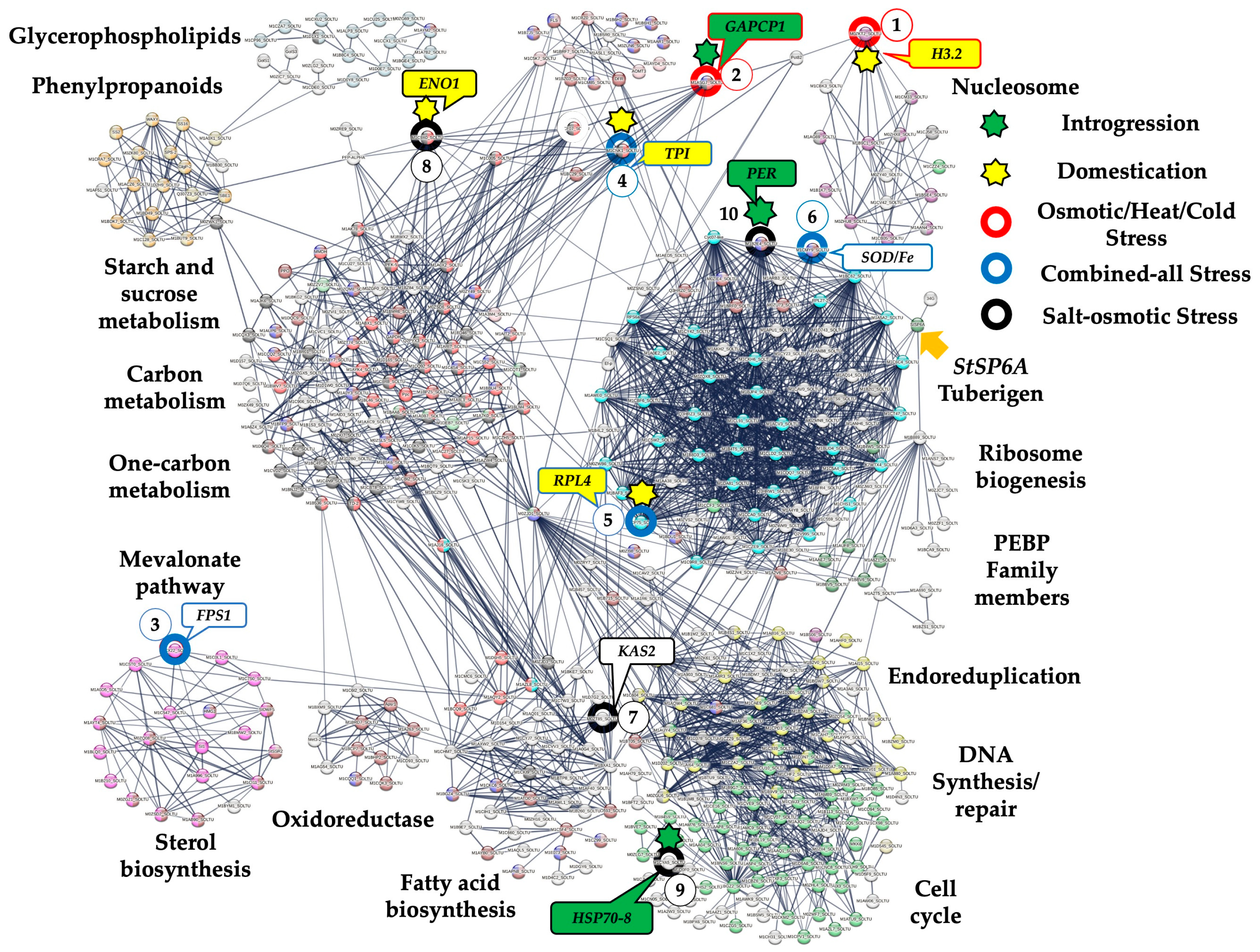 Plants 13 02996 g002