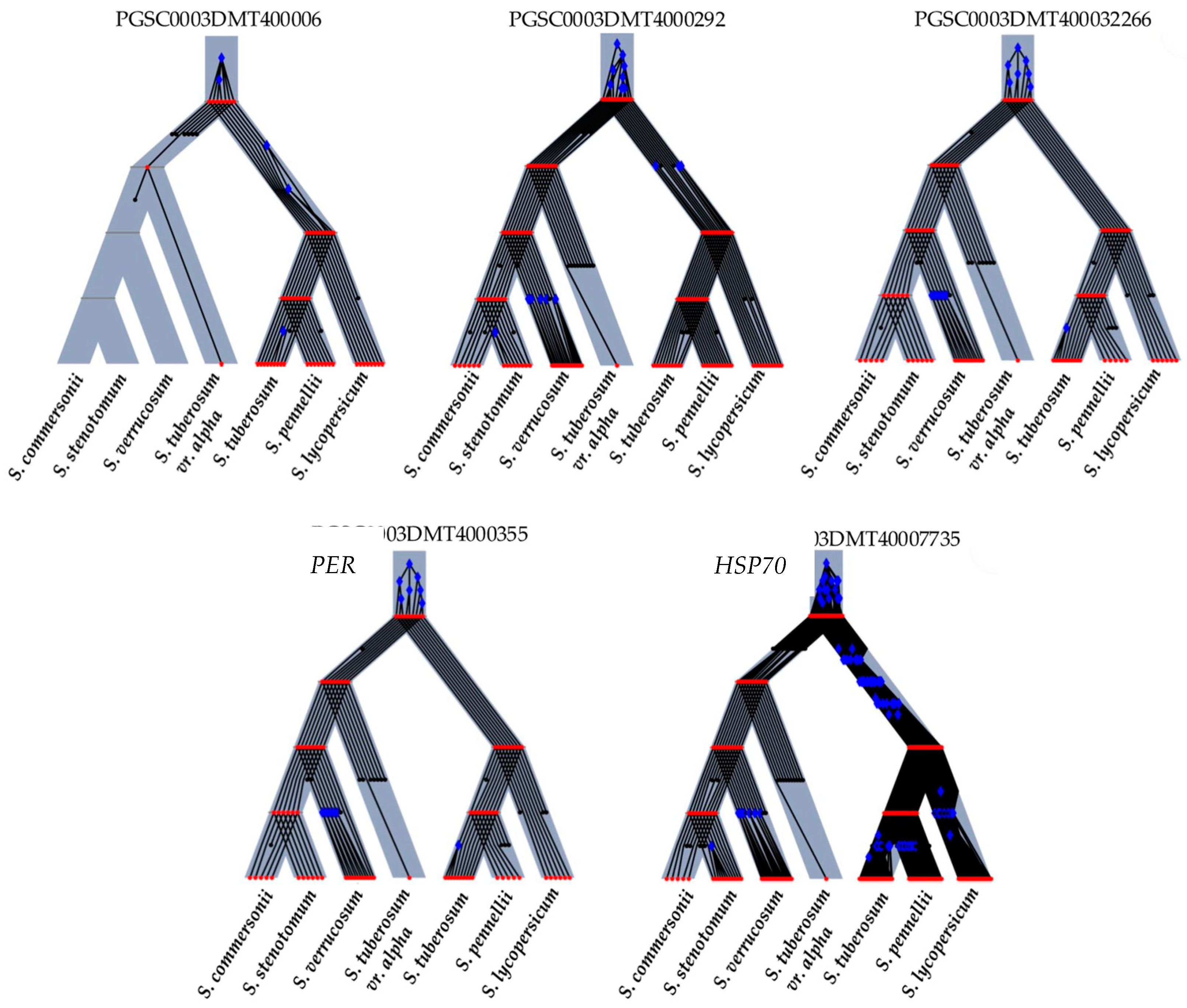 Plants 13 02996 g003