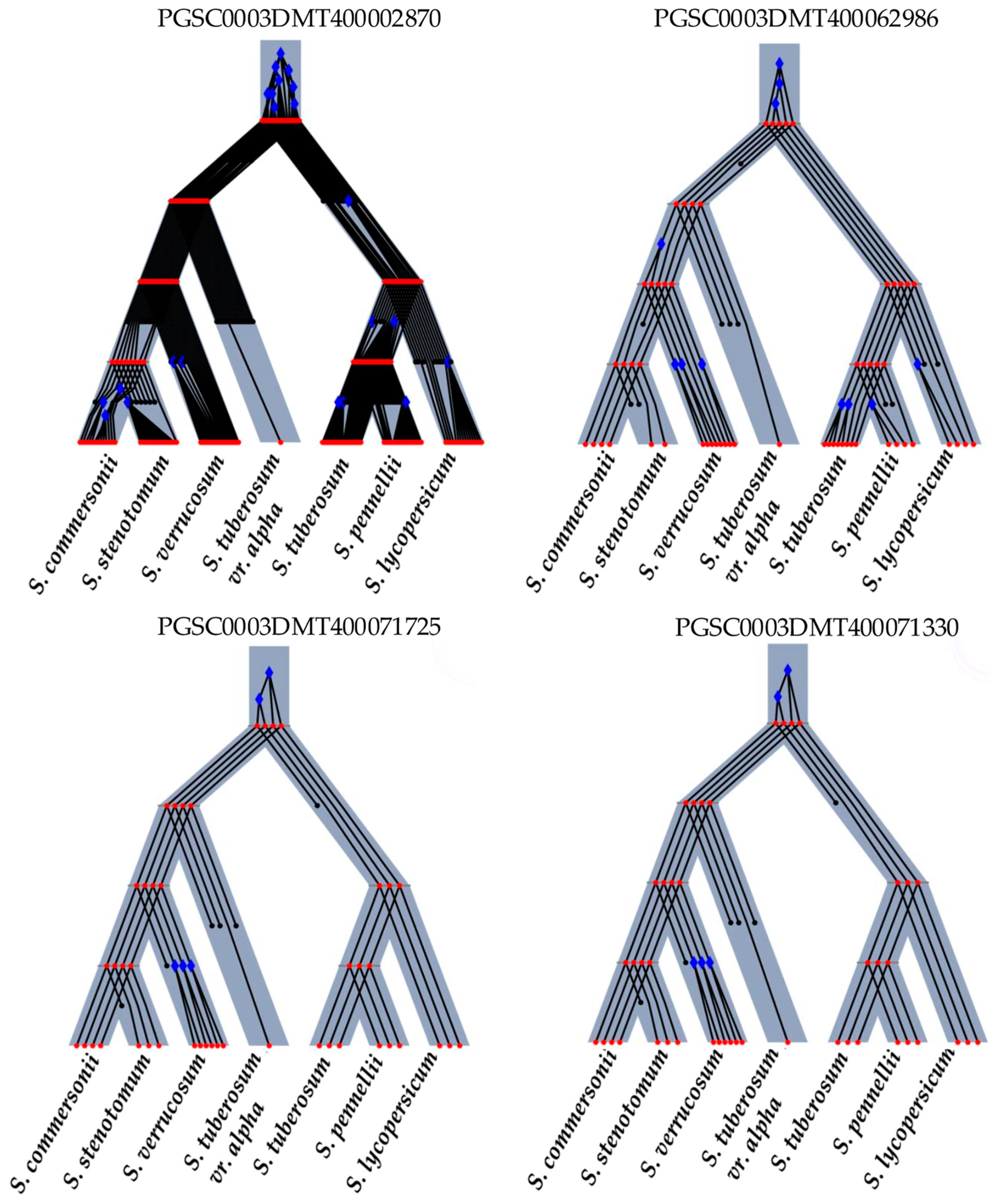 Plants 13 02996 g004