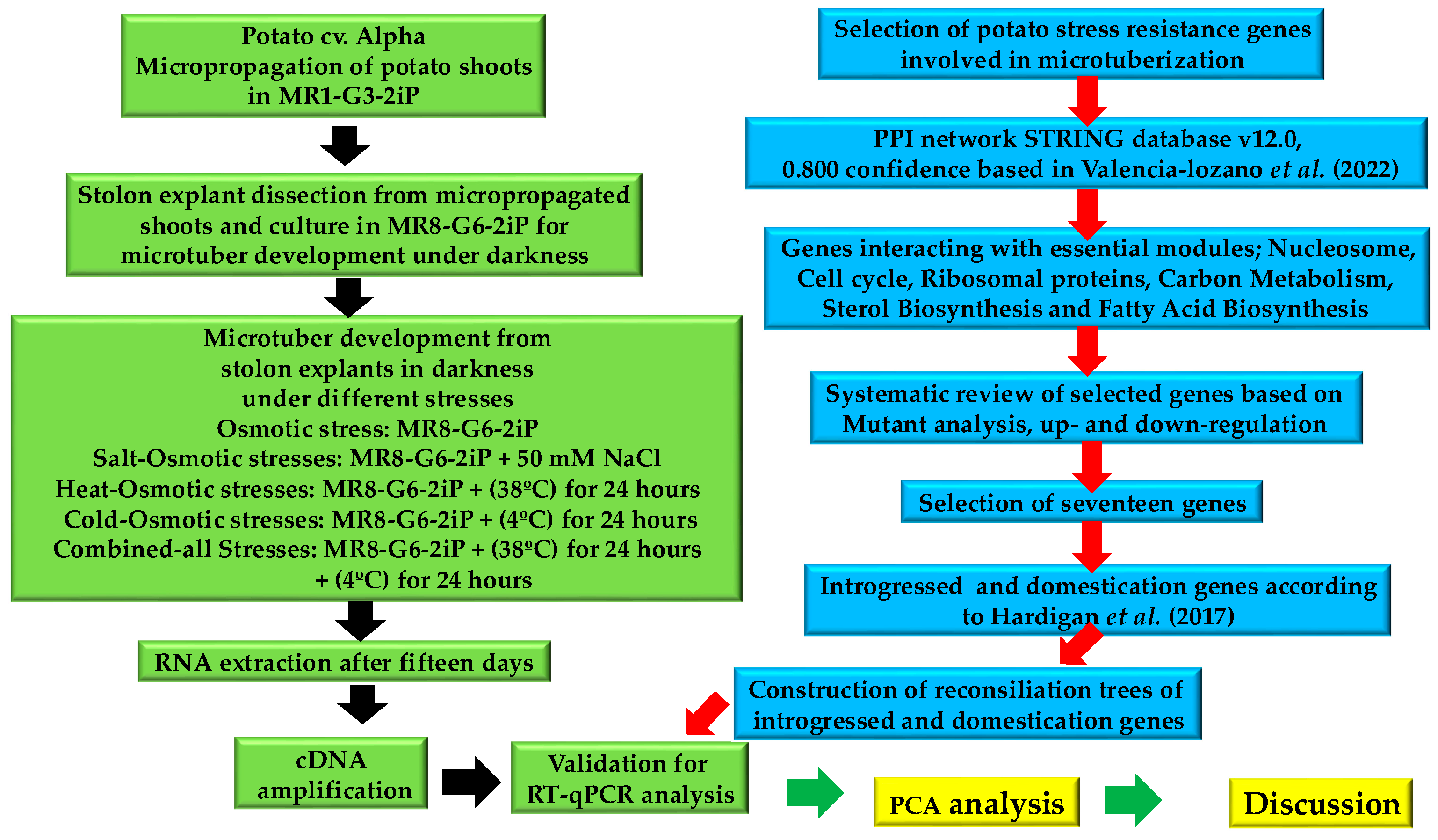 Plants 13 02996 g011