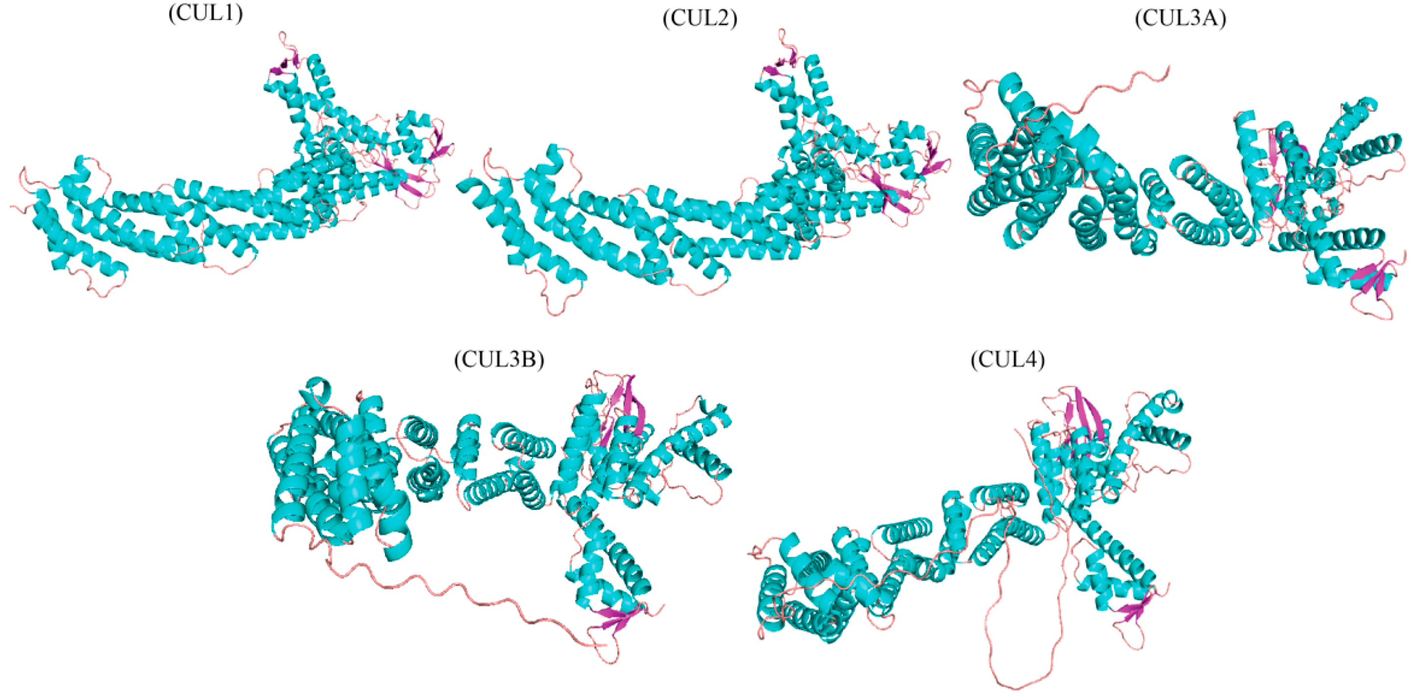 Plants 13 02997 g002