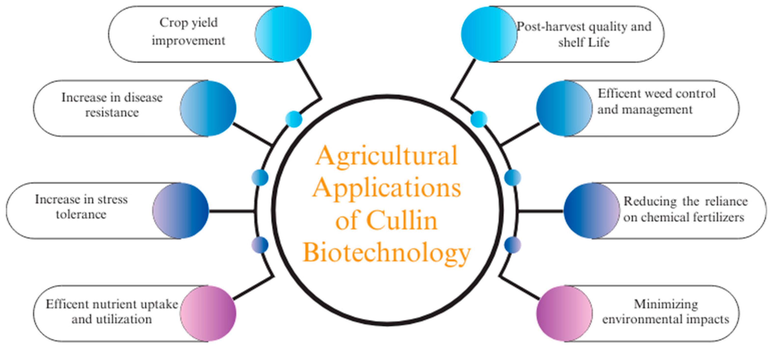 Plants 13 02997 g006