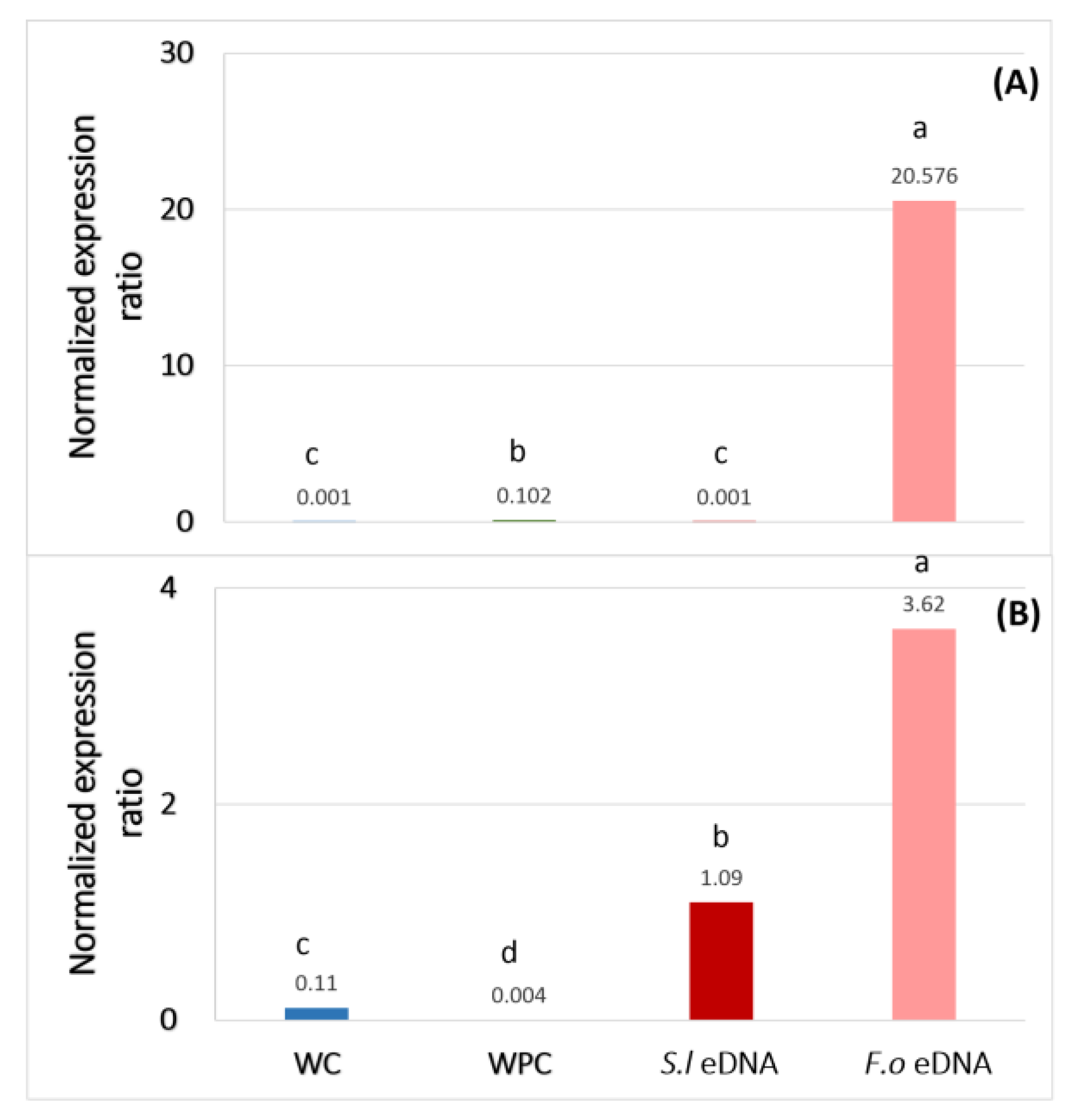 Plants 13 02999 g006