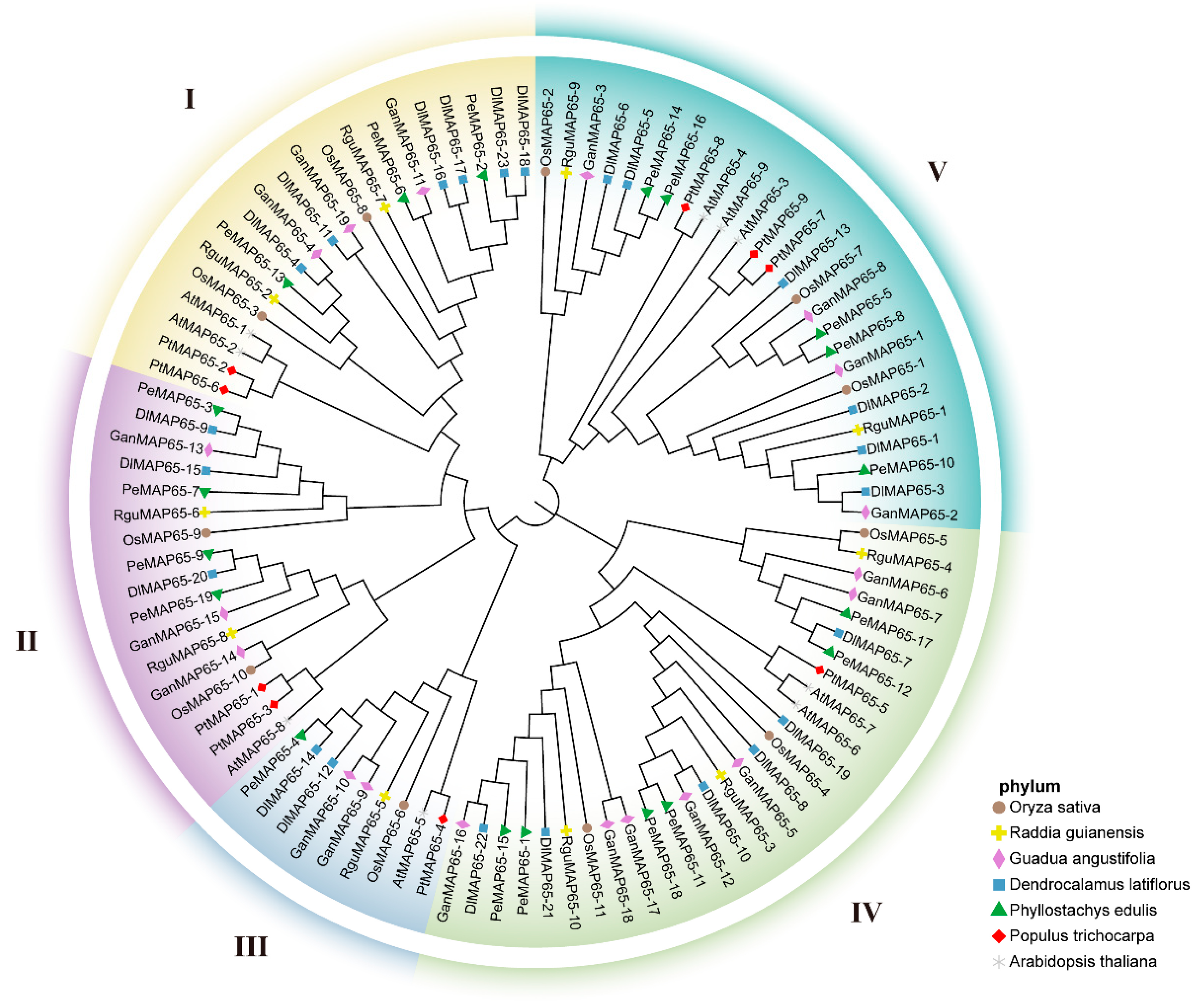 Plants 13 03000 g001