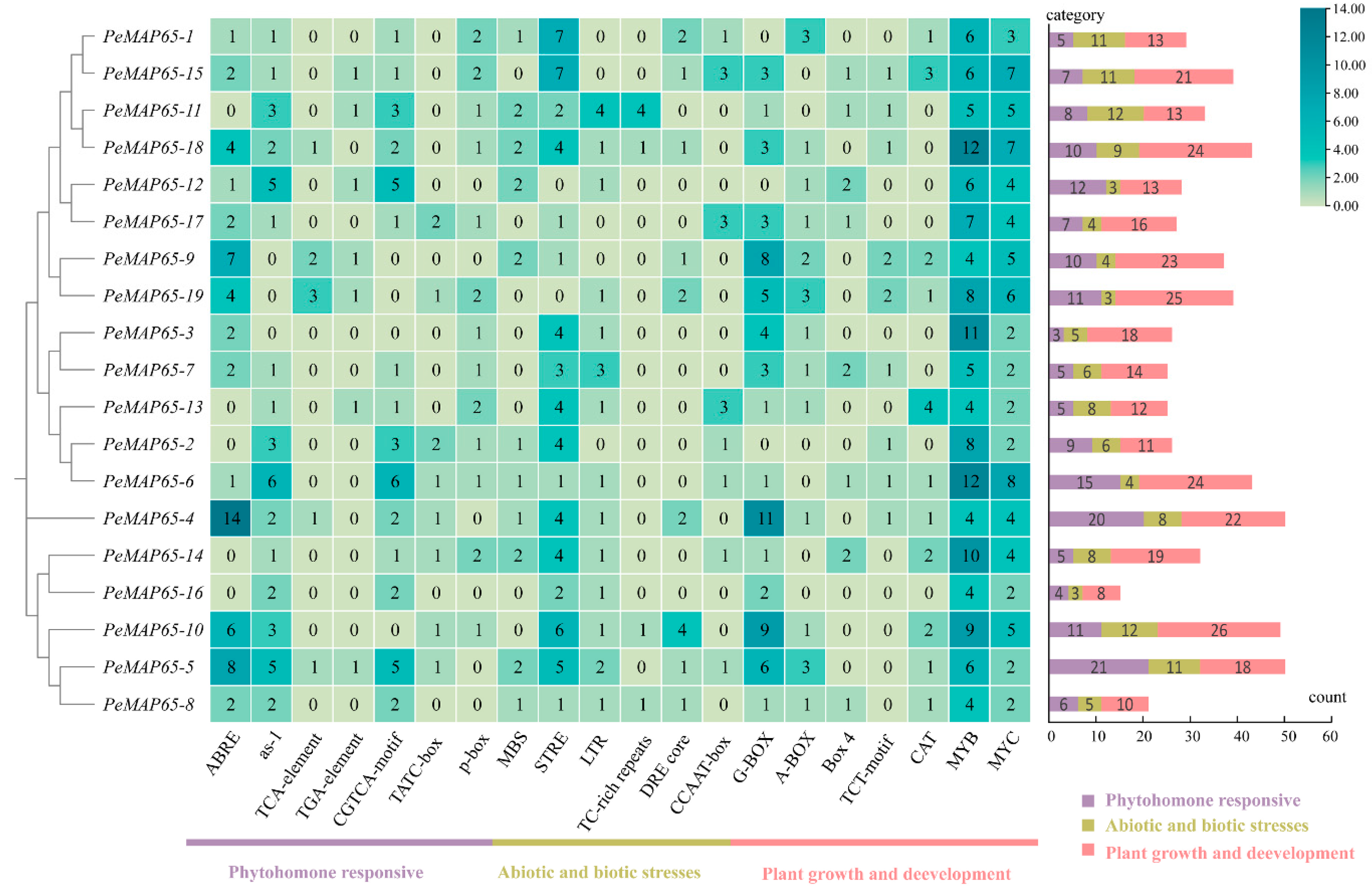 Plants 13 03000 g003
