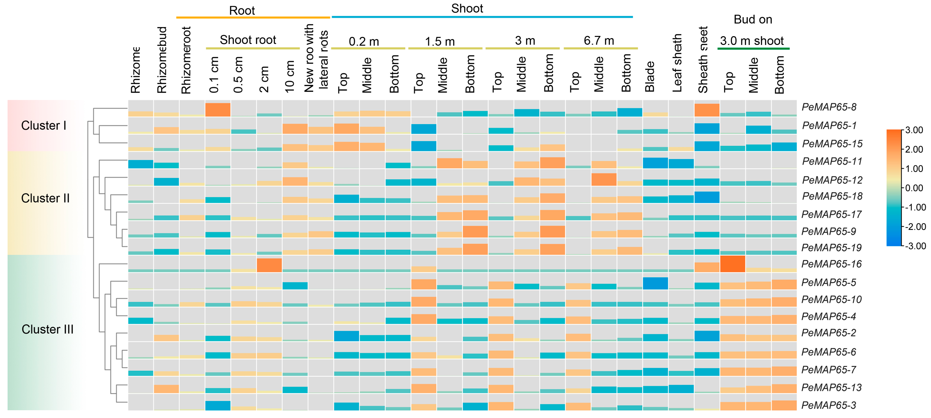 Plants 13 03000 g005