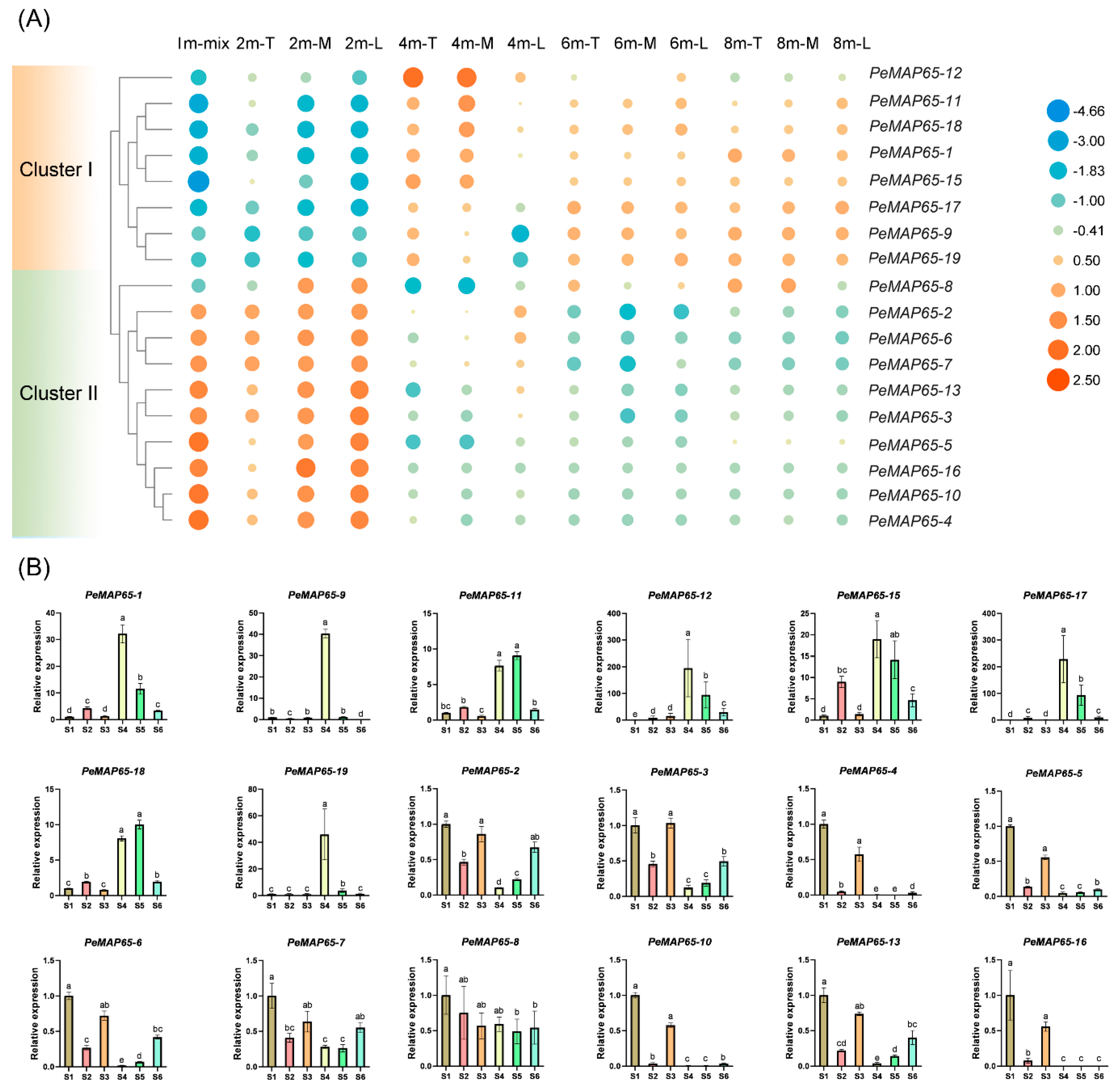 Plants 13 03000 g006