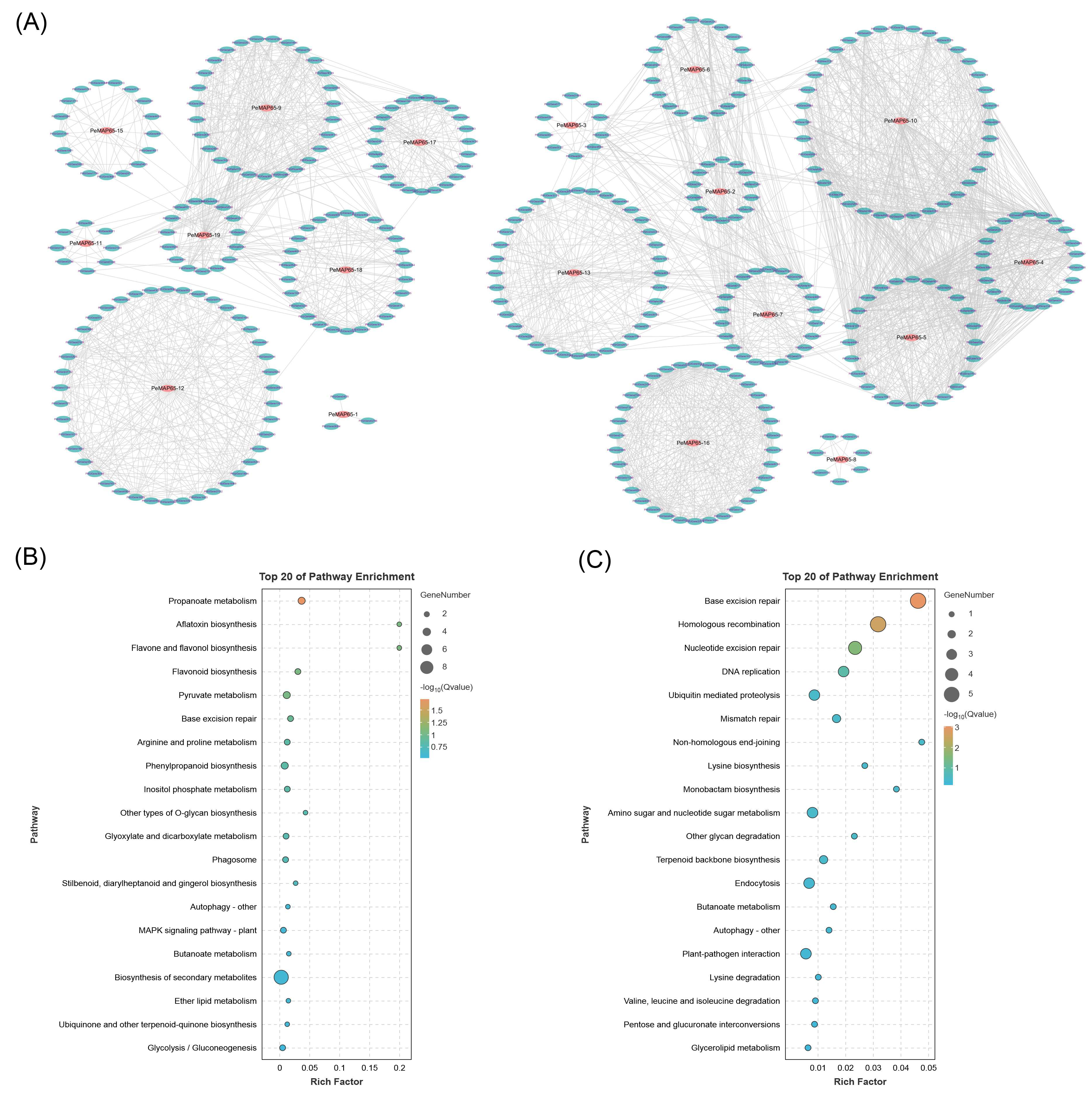 Plants 13 03000 g007