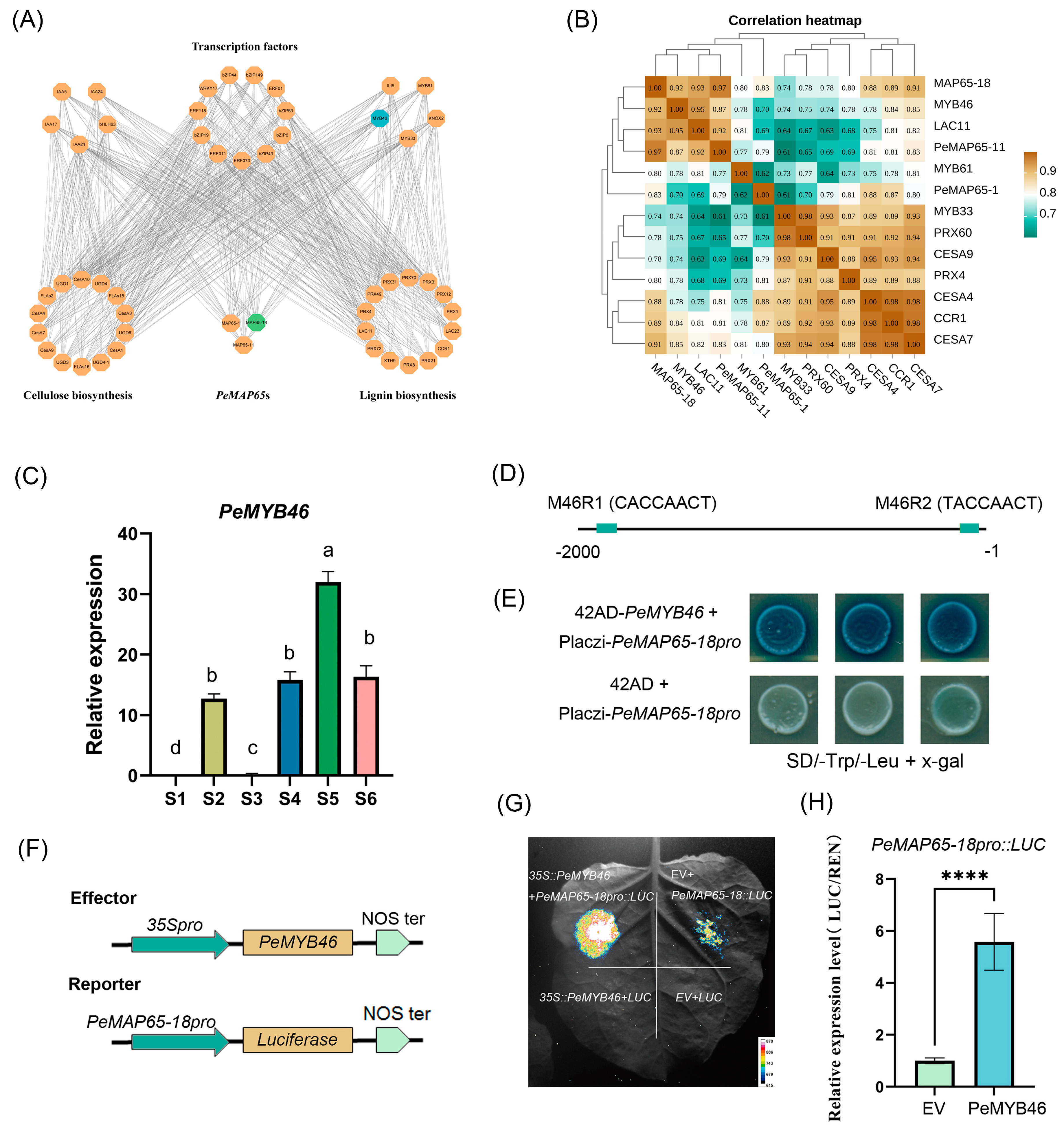 Plants 13 03000 g008