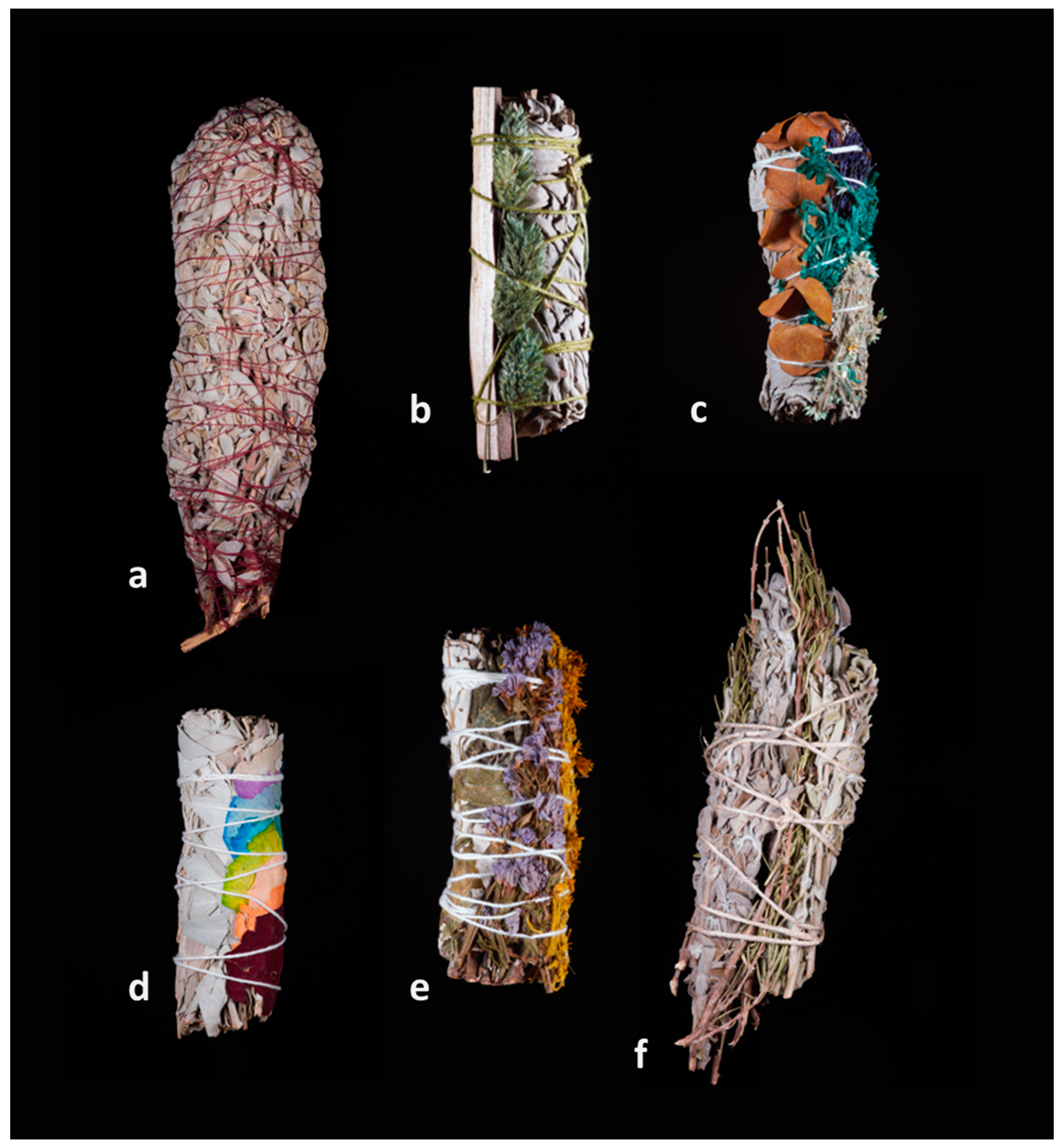 Plants 13 03003 g002