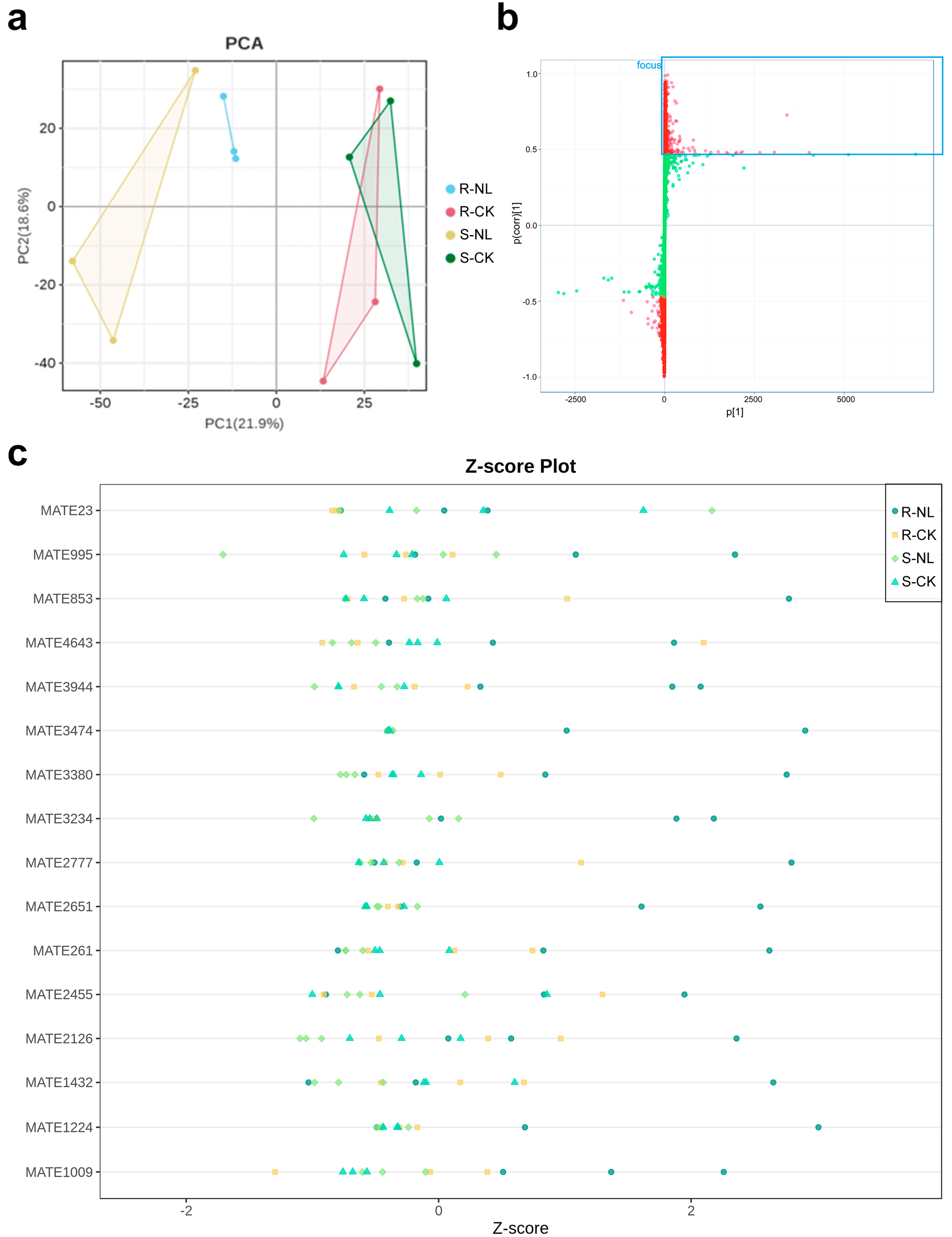 Plants 13 03004 g002