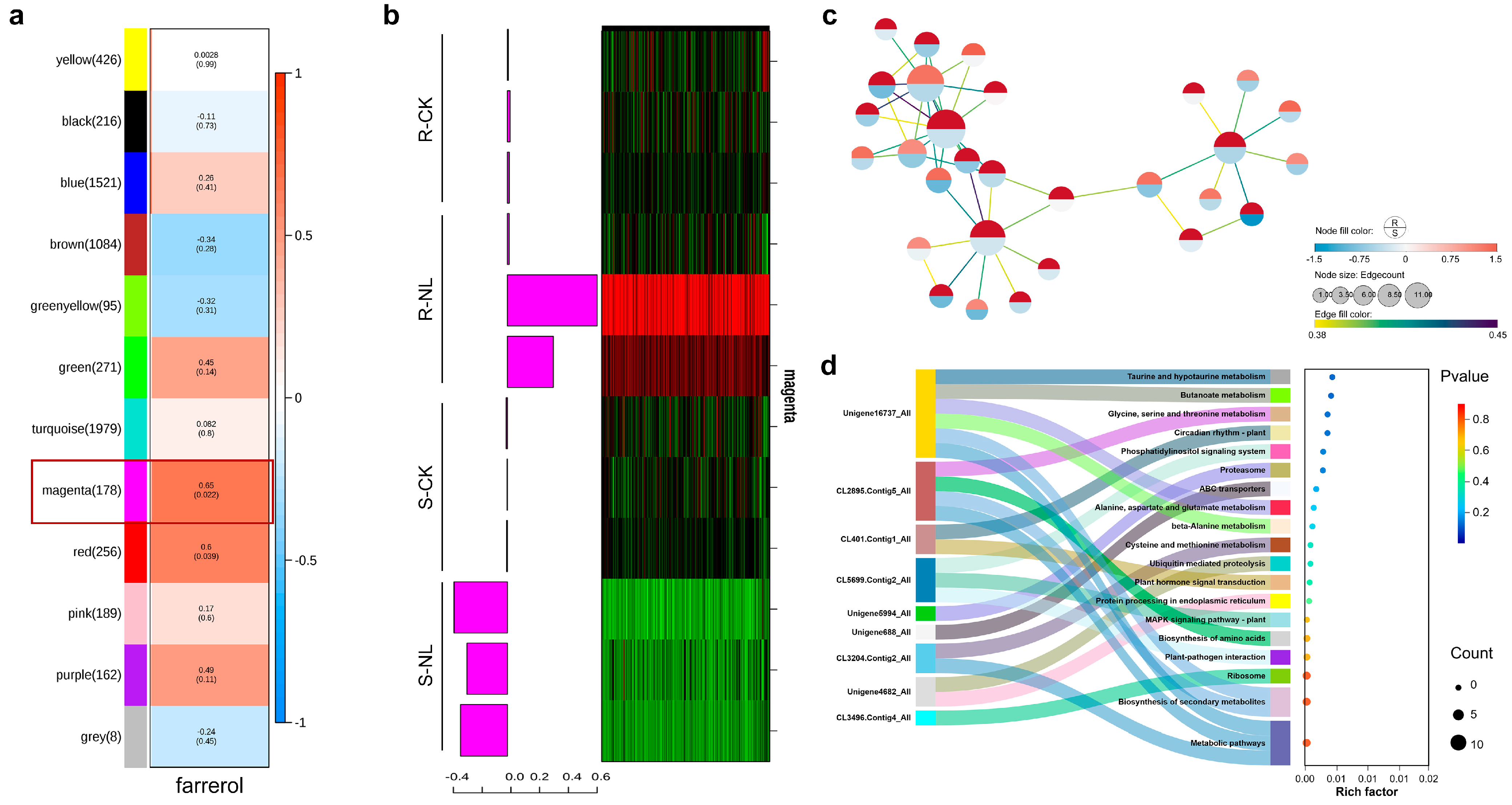 Plants 13 03004 g004