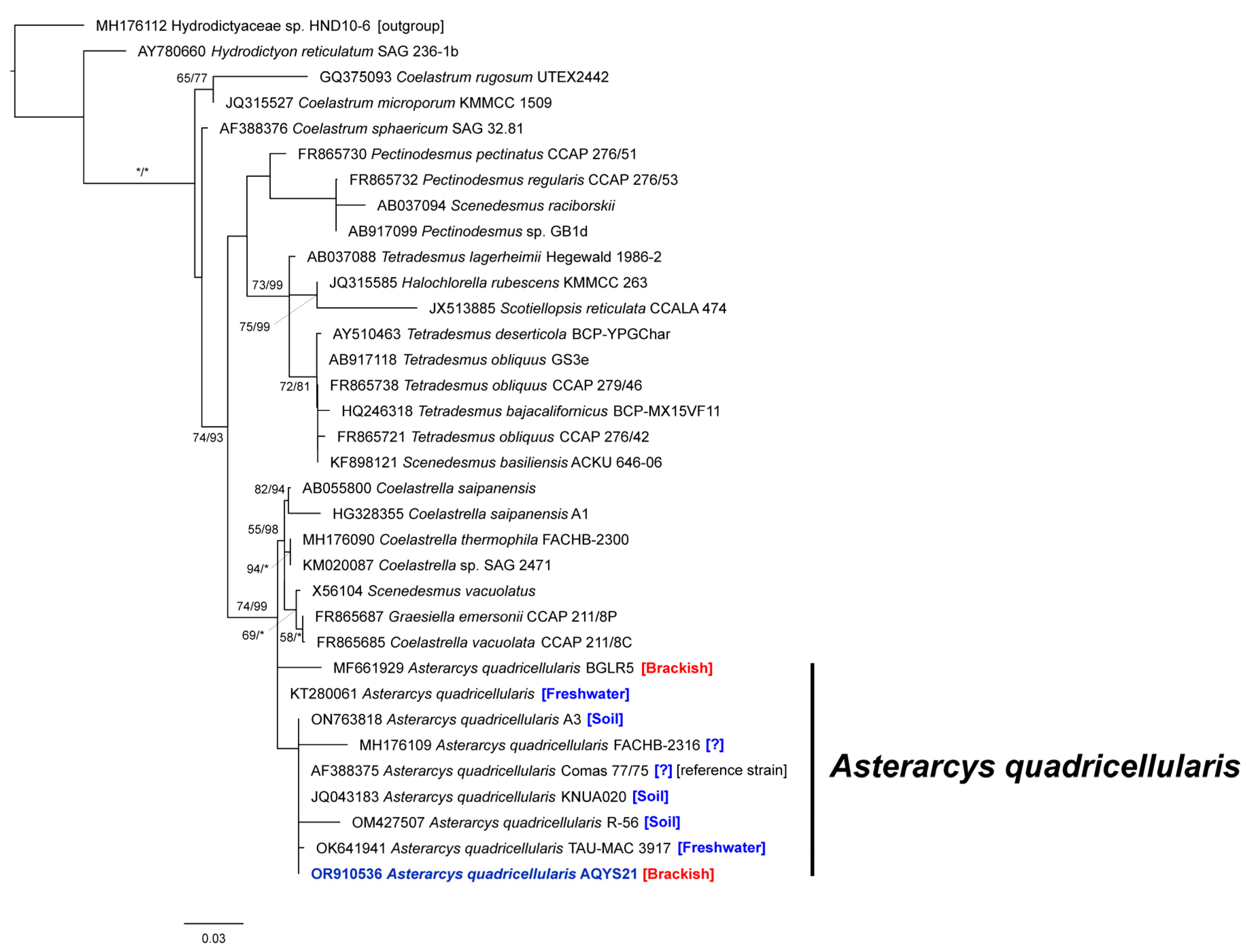 Plants 13 03008 g004