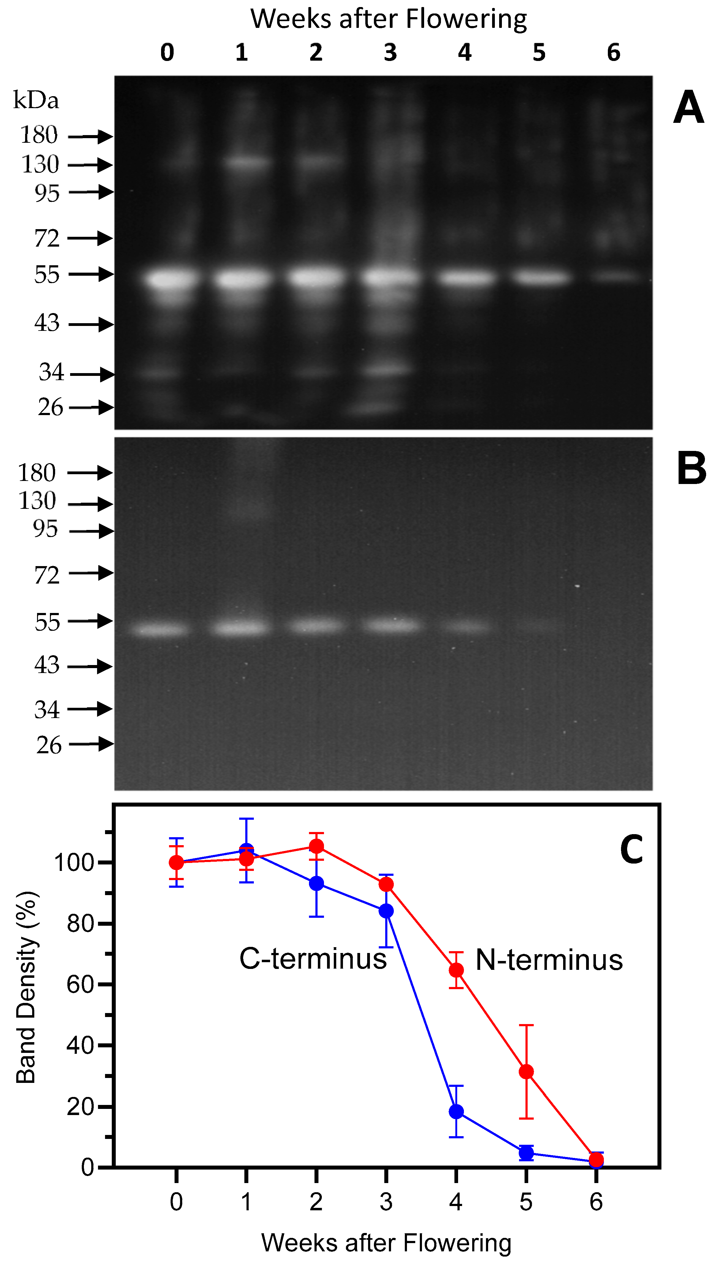 Plants 13 03009 g002