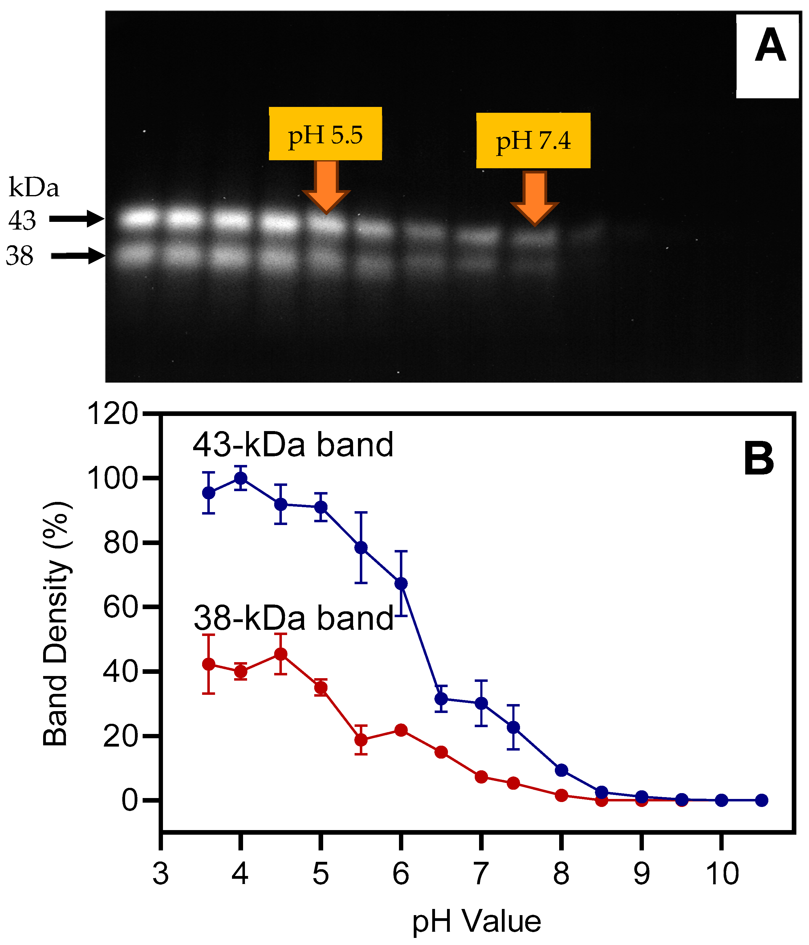 Plants 13 03009 g007