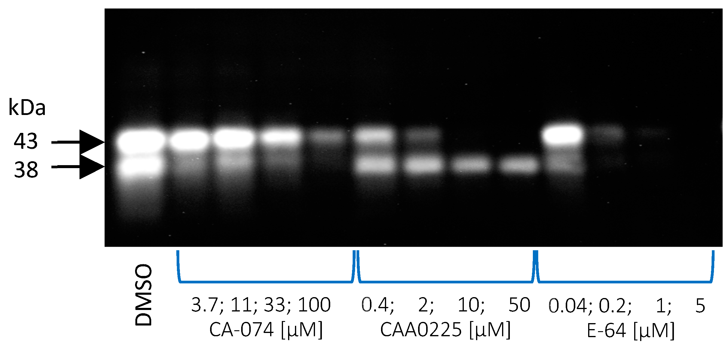 Plants 13 03009 g008