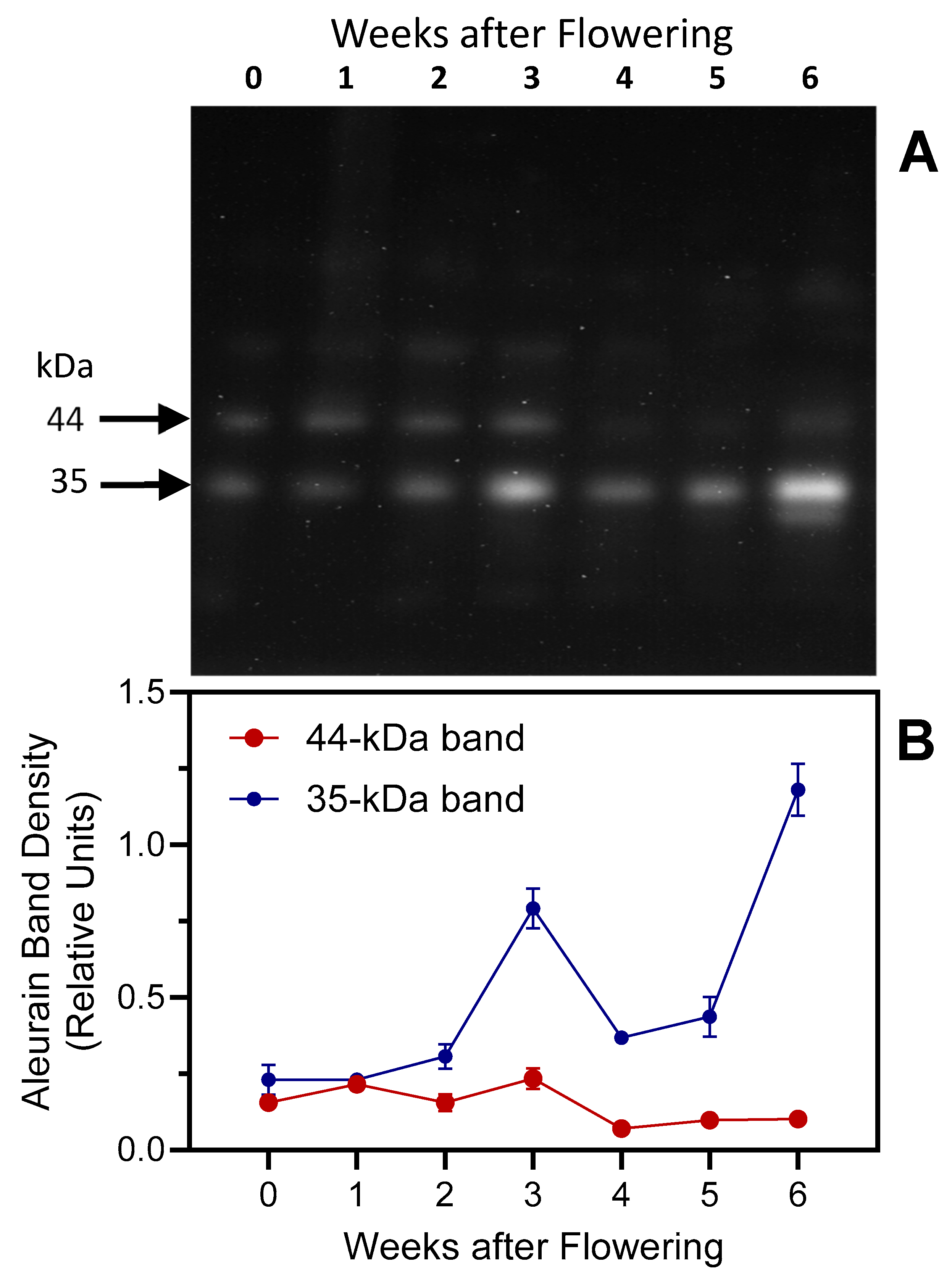 Plants 13 03009 g013