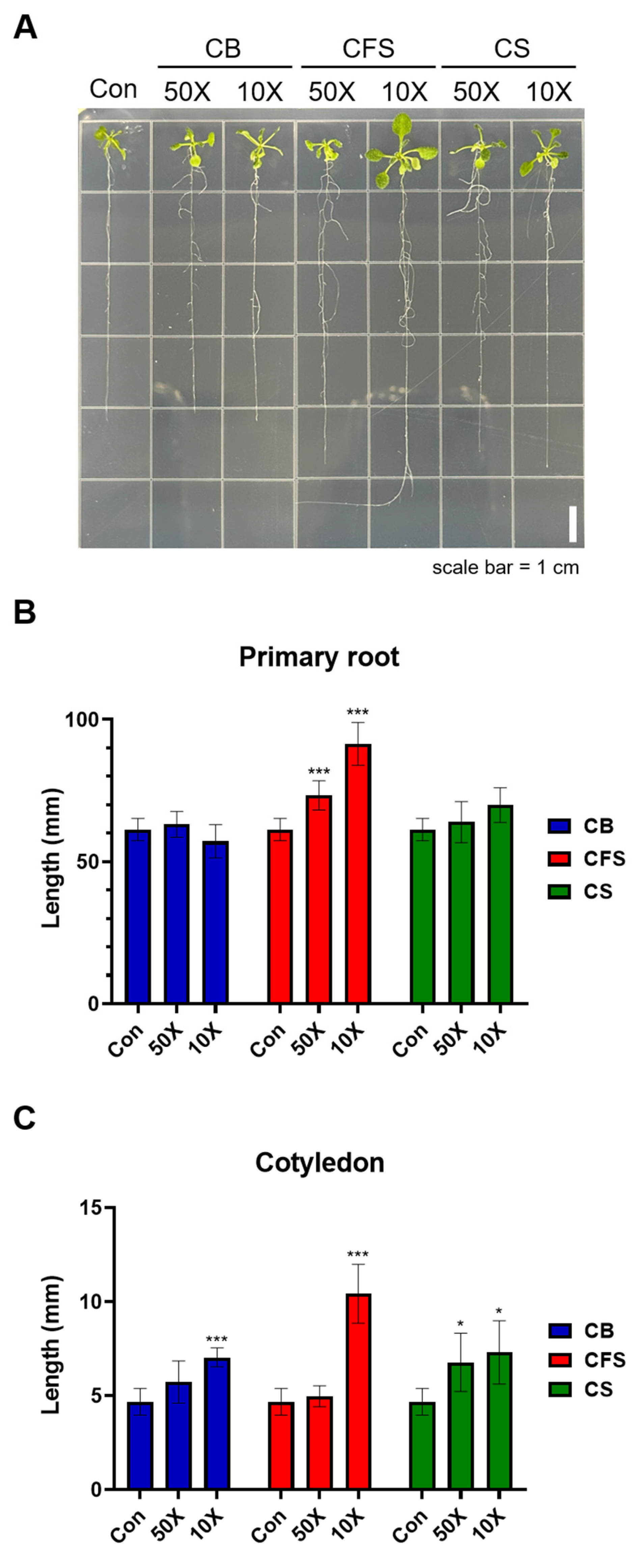 Plants 13 03012 g001