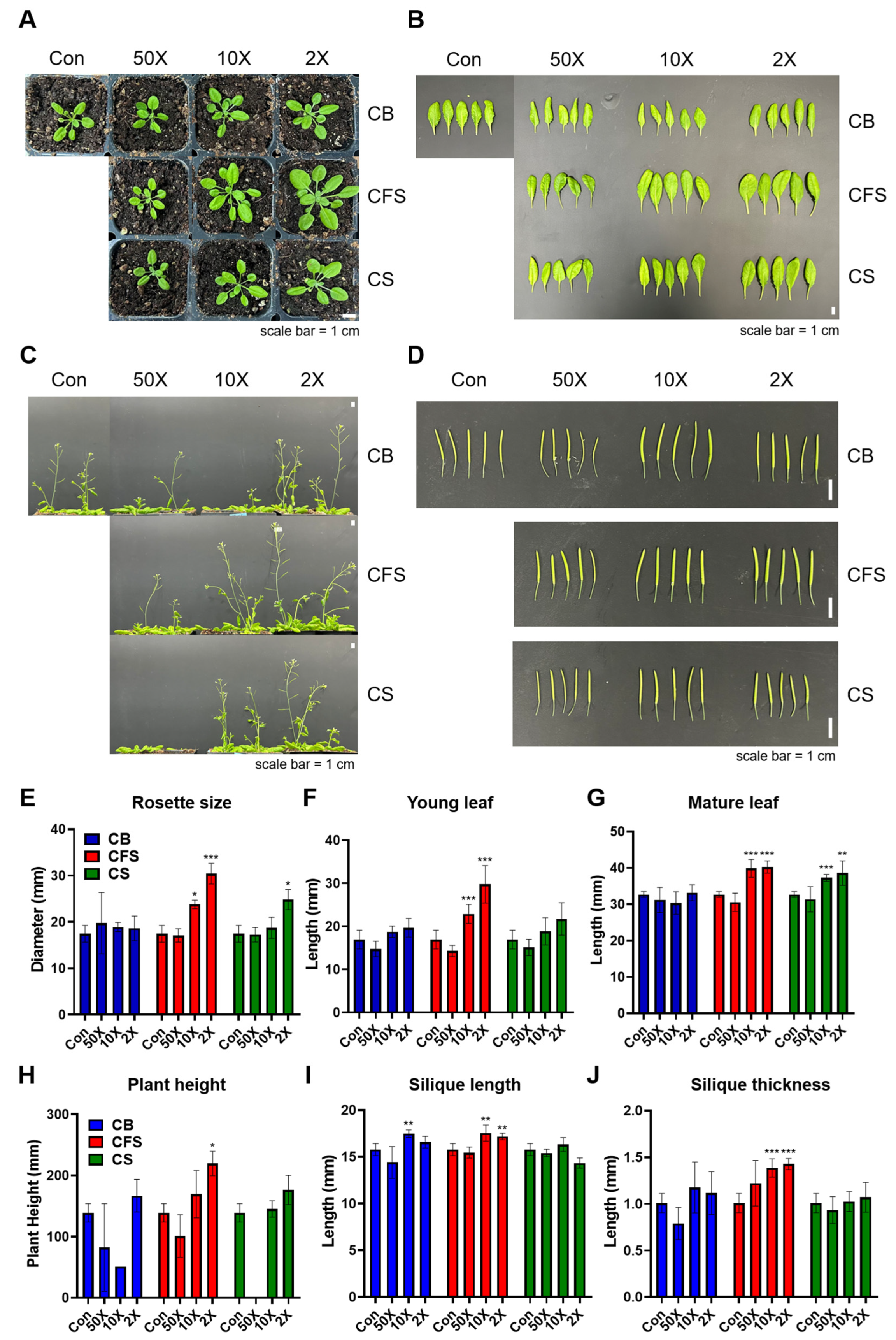 Plants 13 03012 g002