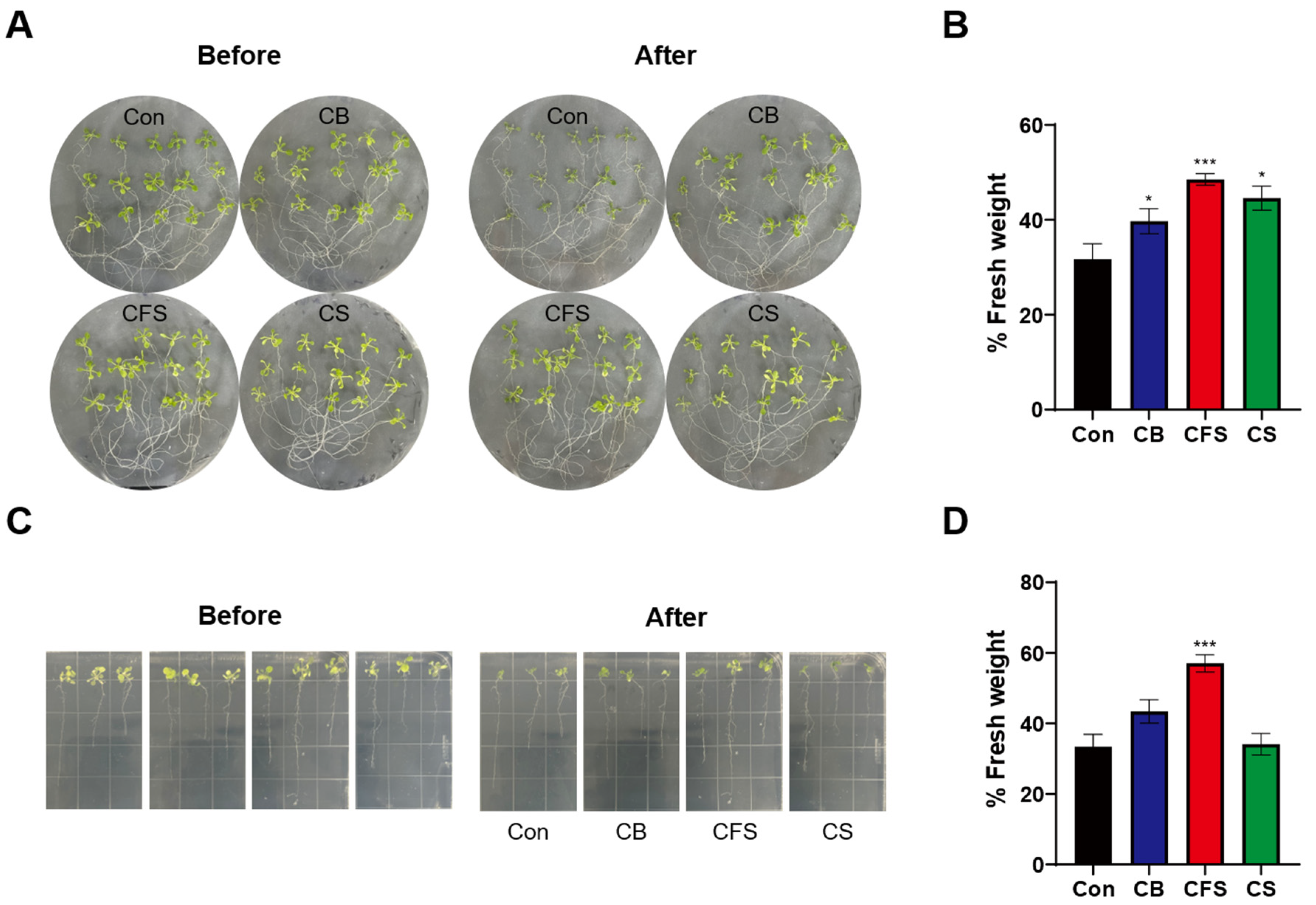 Plants 13 03012 g003
