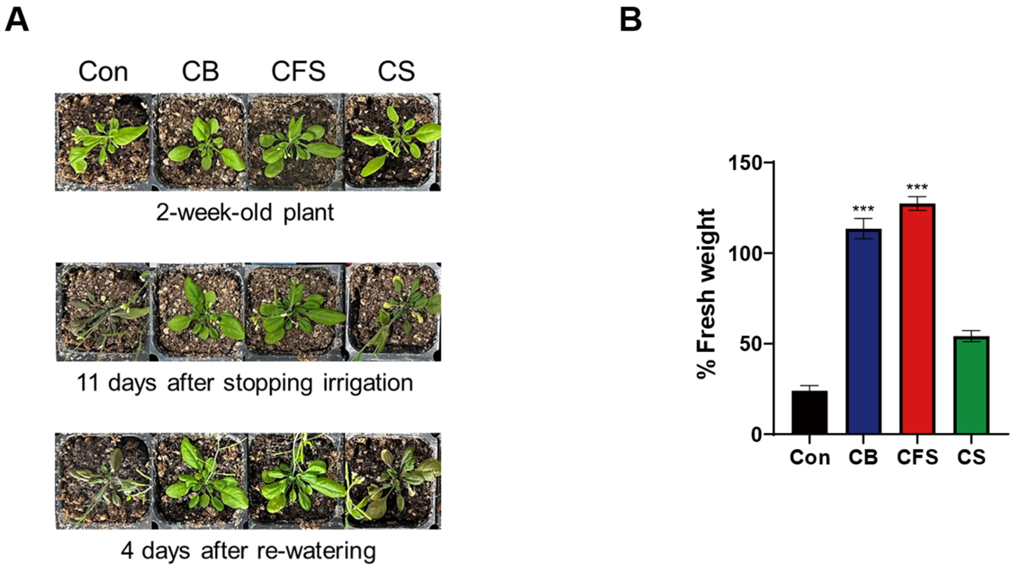 Plants 13 03012 g004