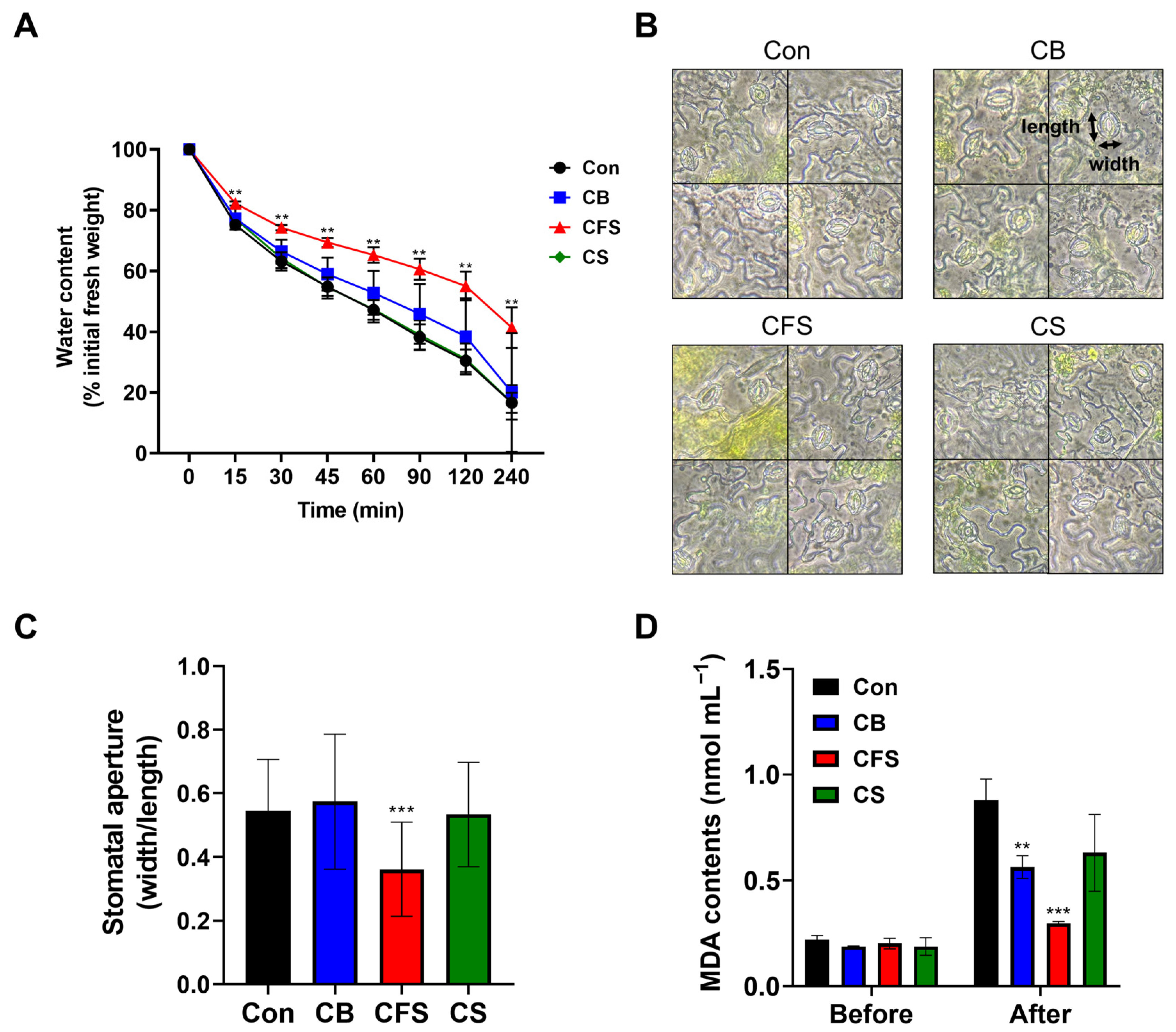 Plants 13 03012 g005
