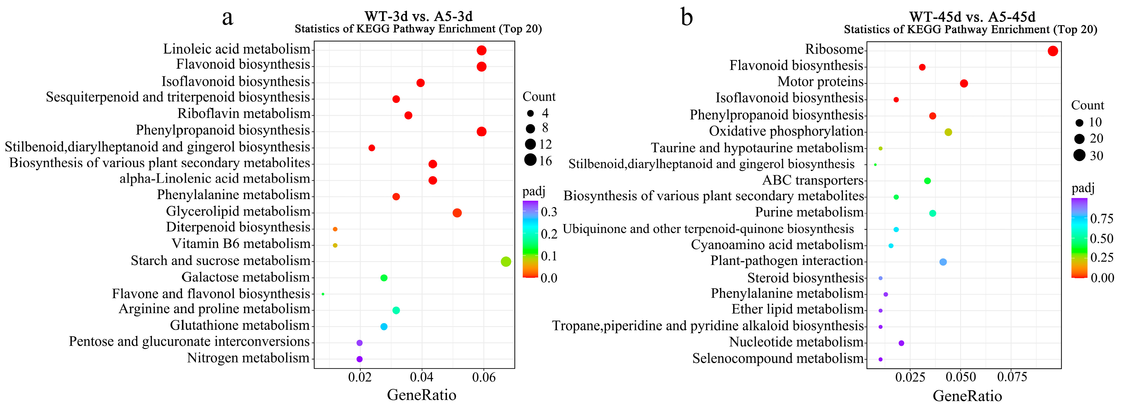 Plants 13 03017 g003