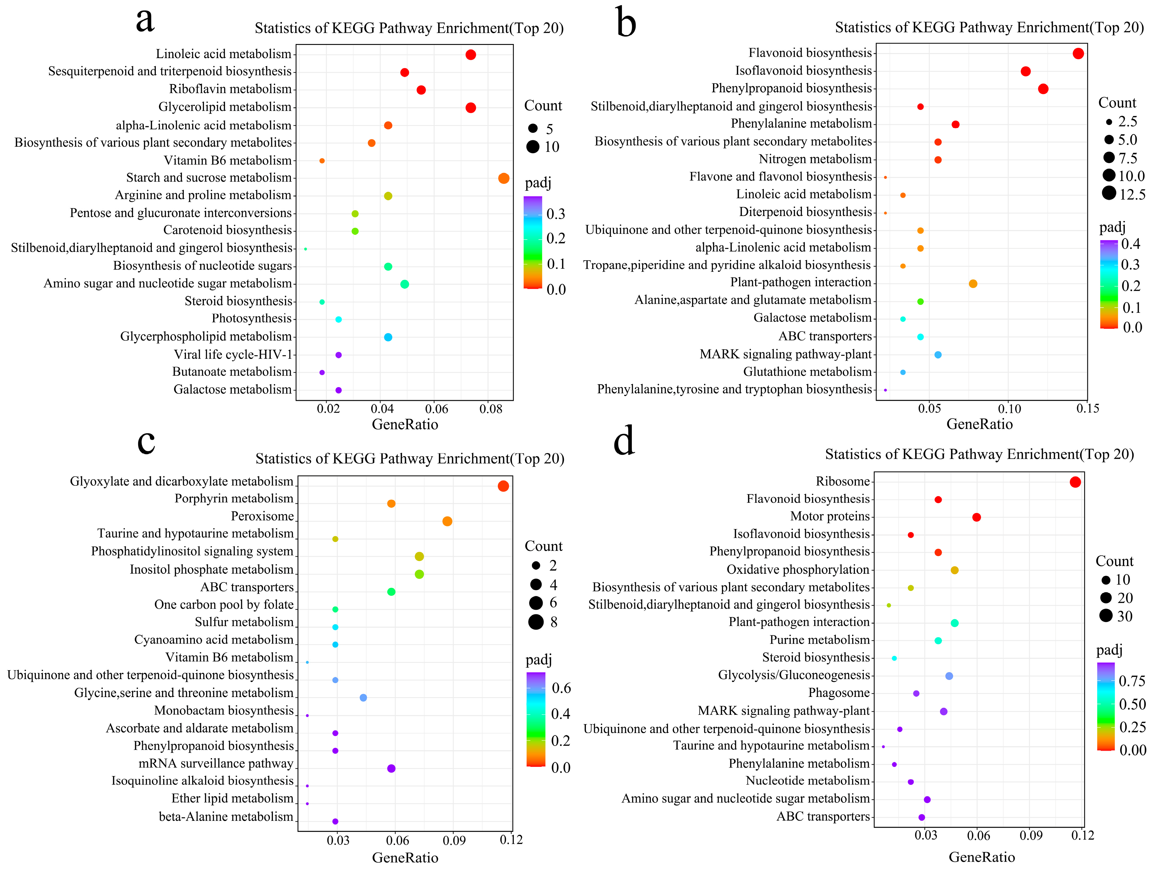 Plants 13 03017 g004
