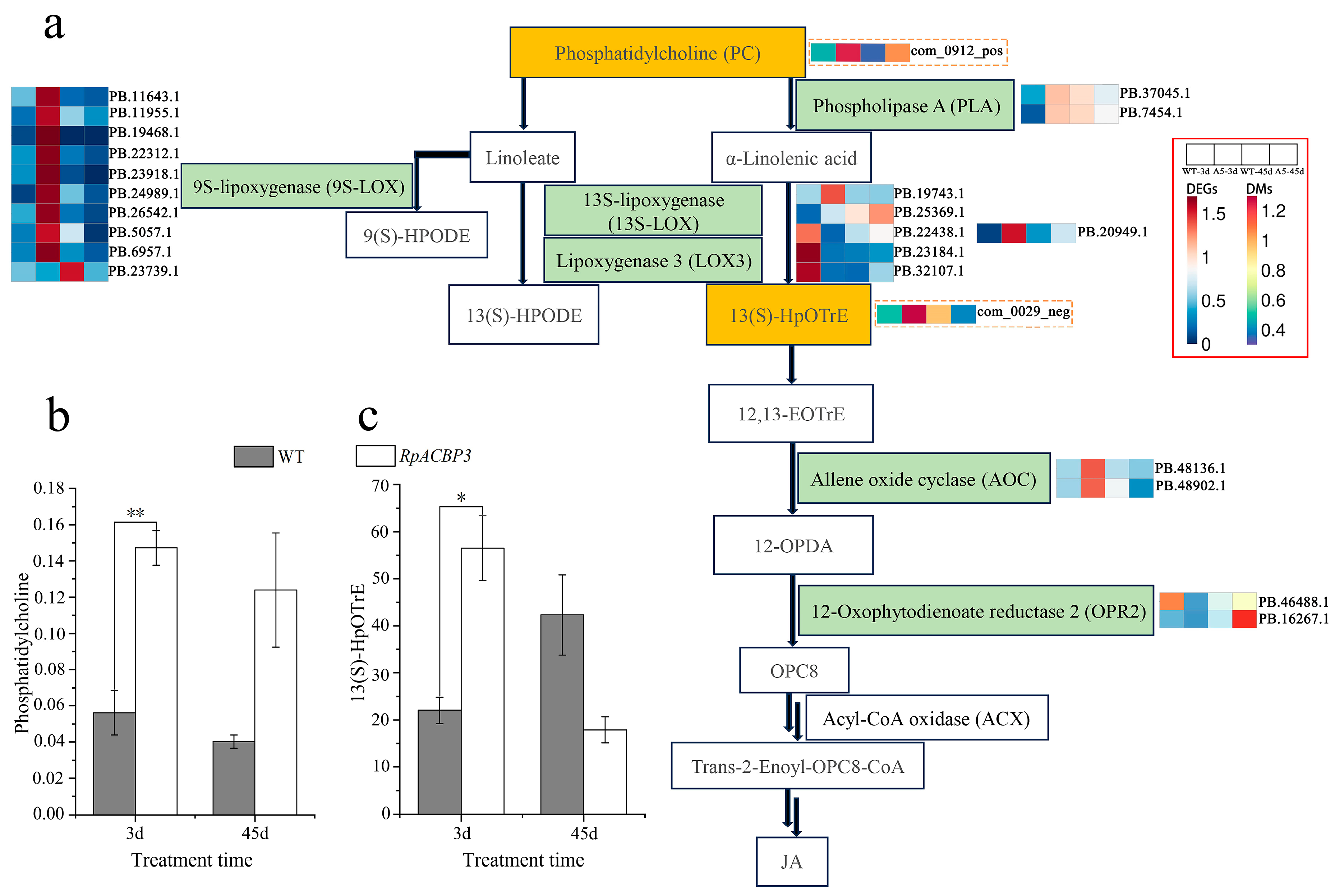 Plants 13 03017 g010