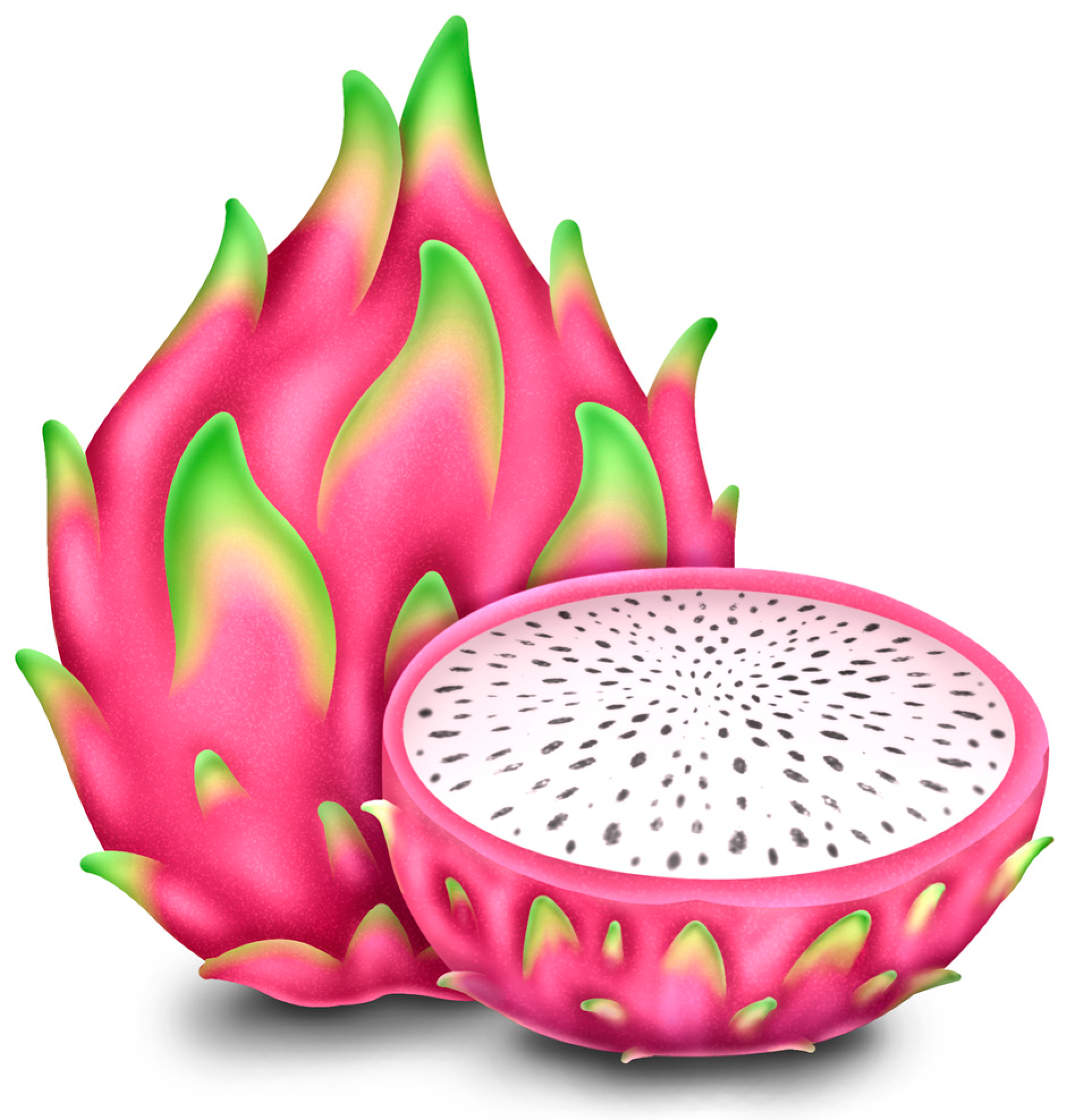 Plants 13 03020 g001