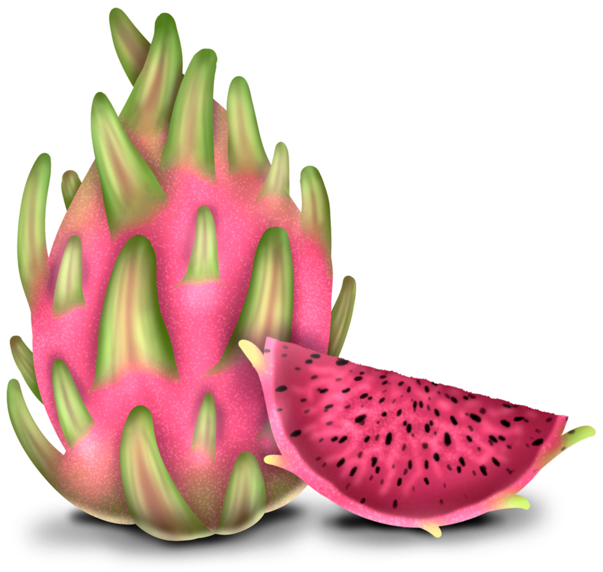 Plants 13 03020 g002