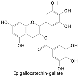 Plants 13 03020 i011