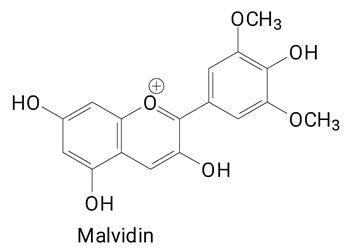 Plants 13 03020 i019