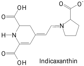 Plants 13 03020 i045