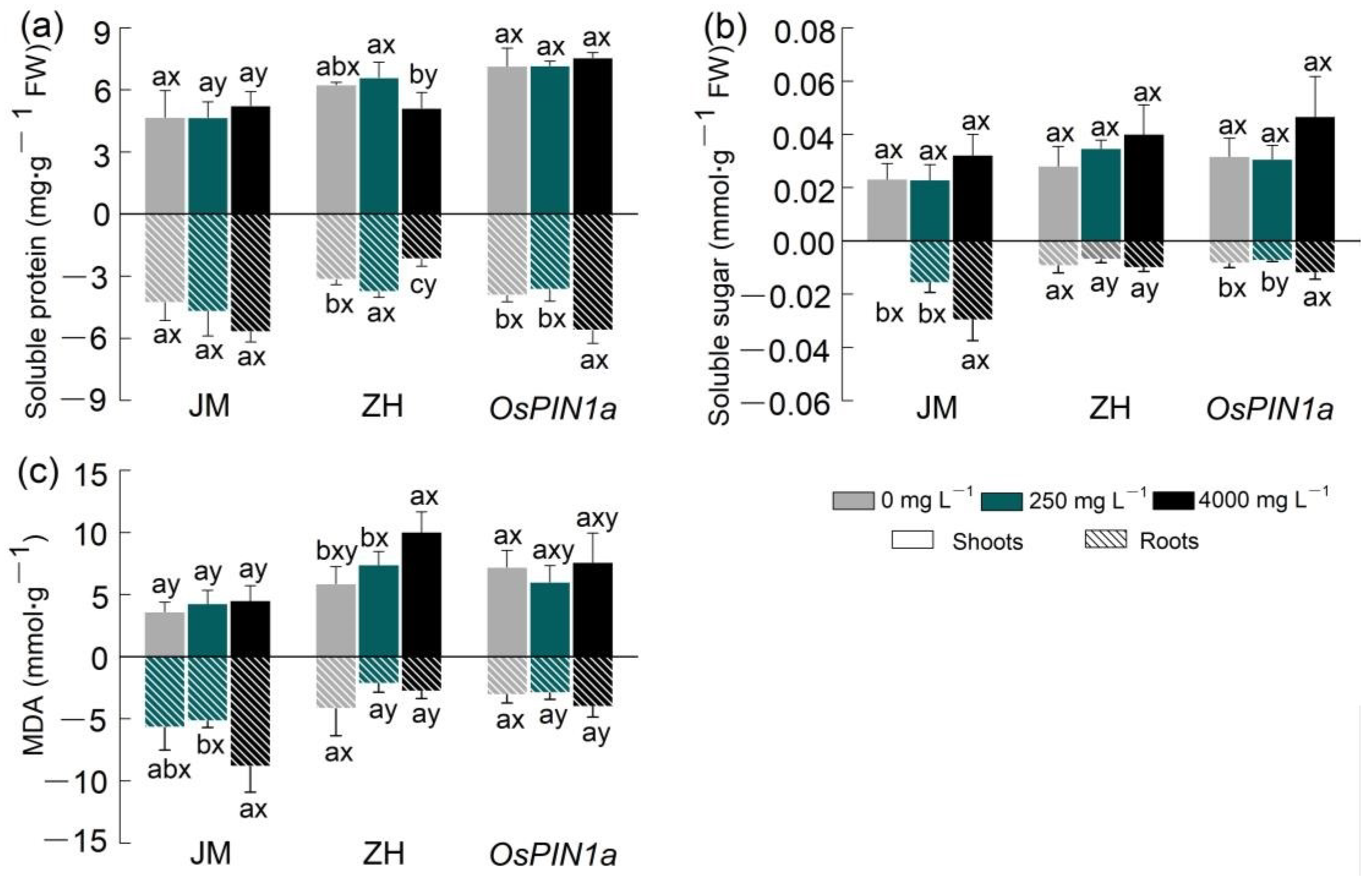 Plants 13 03026 g005