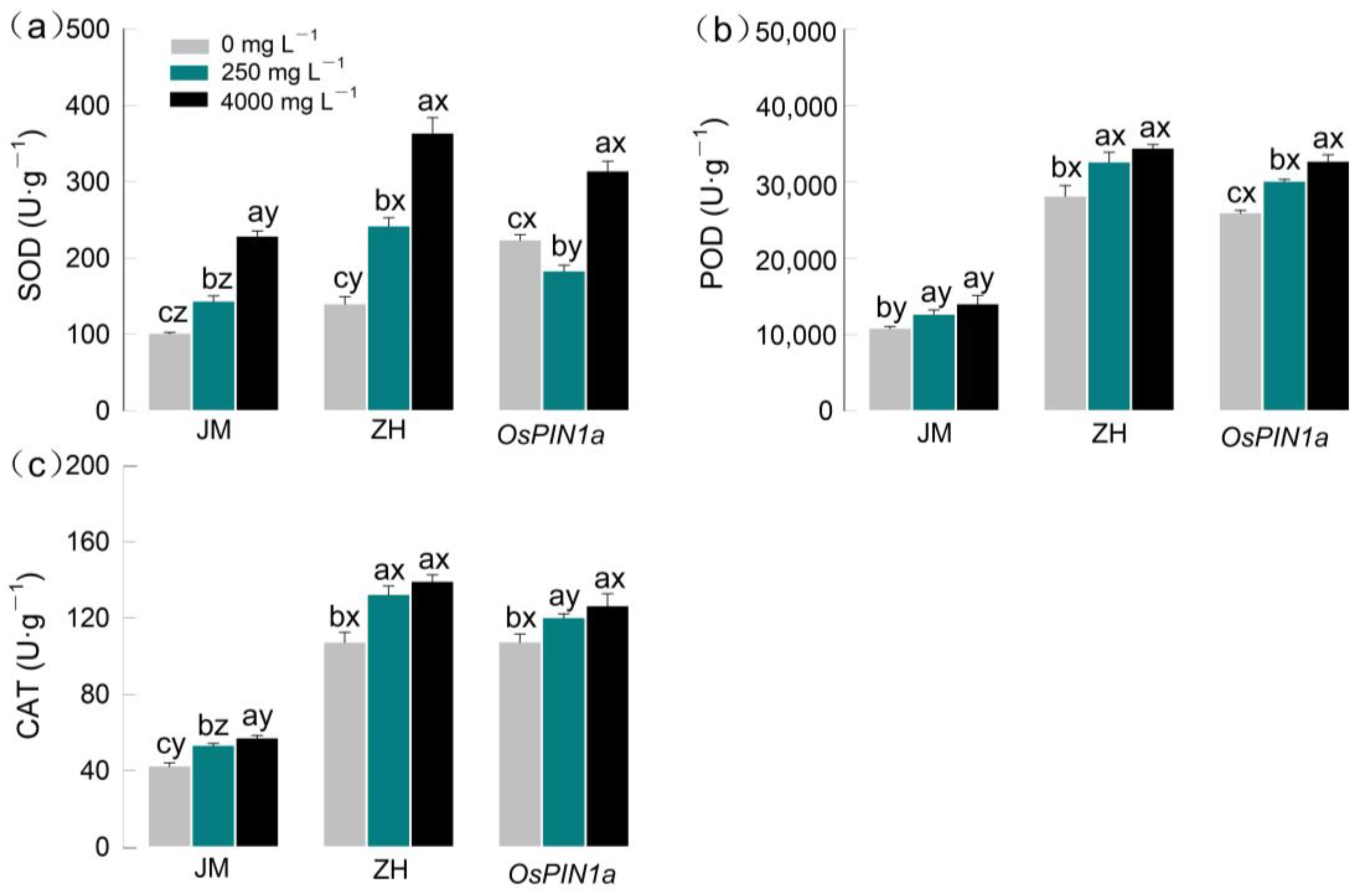 Plants 13 03026 g006