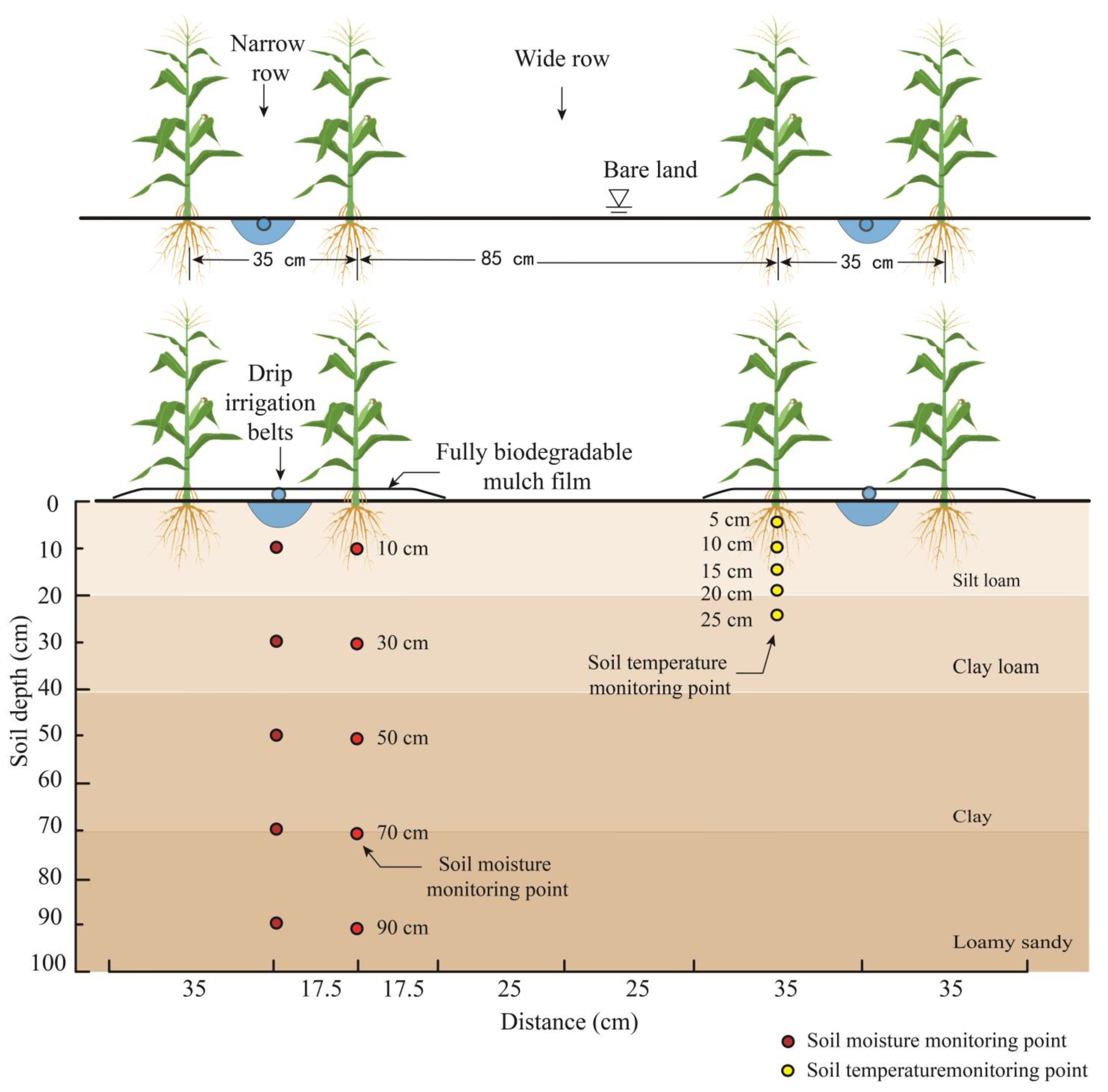 Plants 13 03027 g008