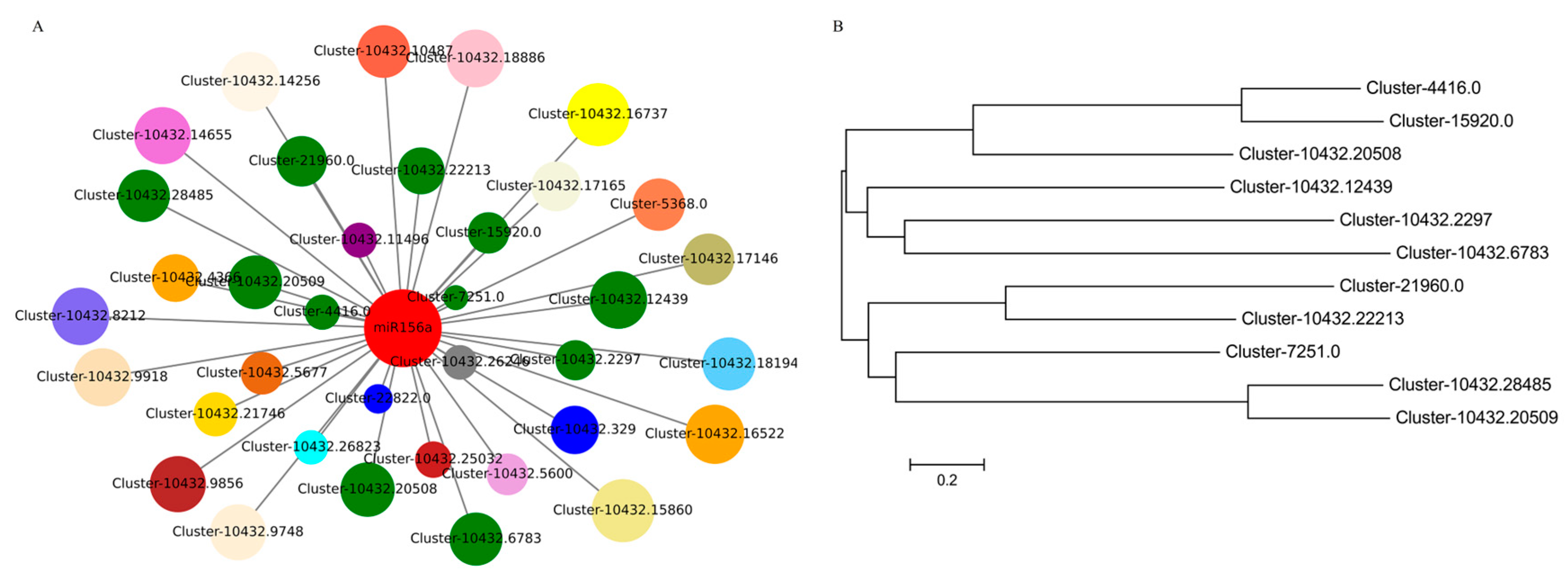 Plants 13 03033 g005