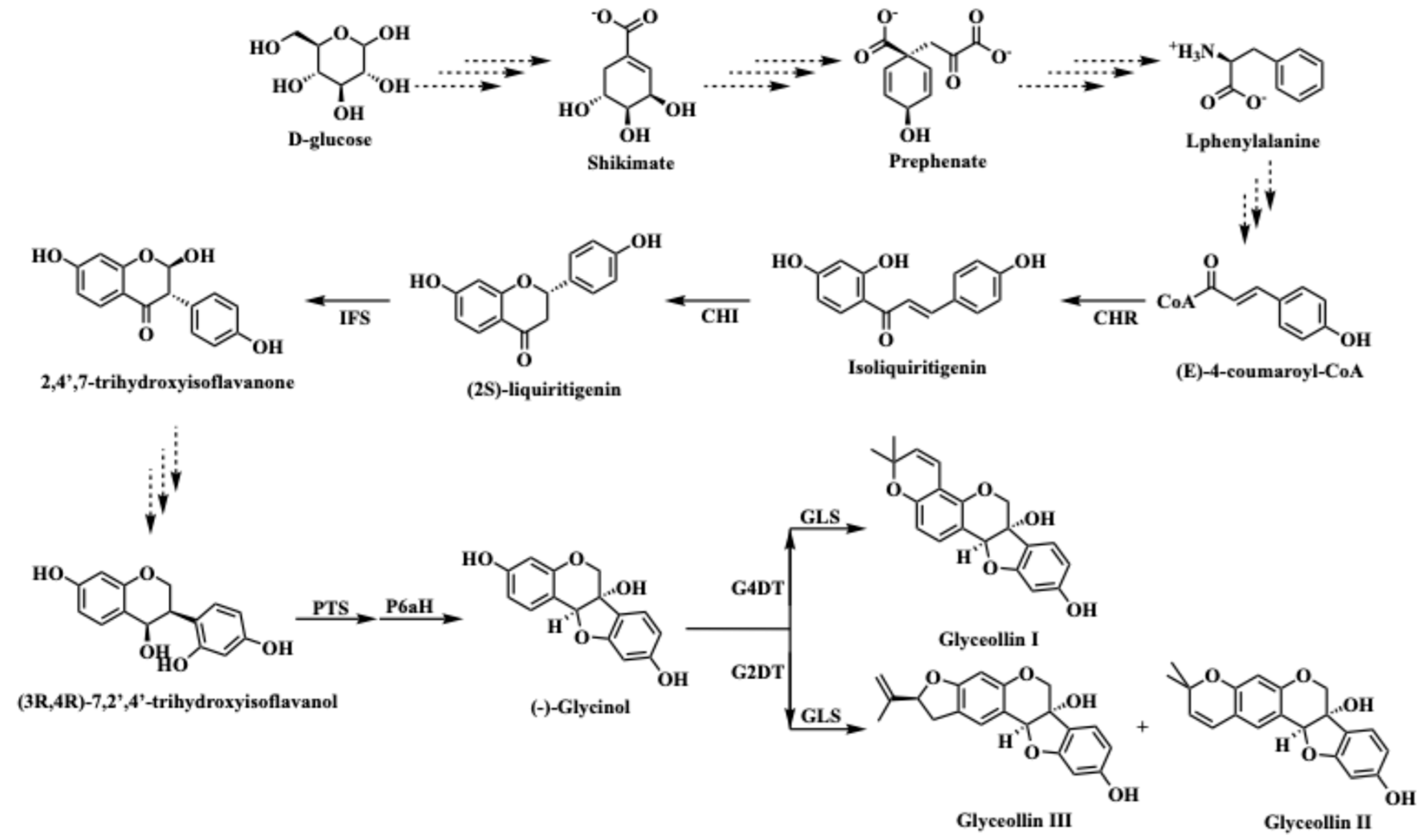 Plants 13 03036 g001