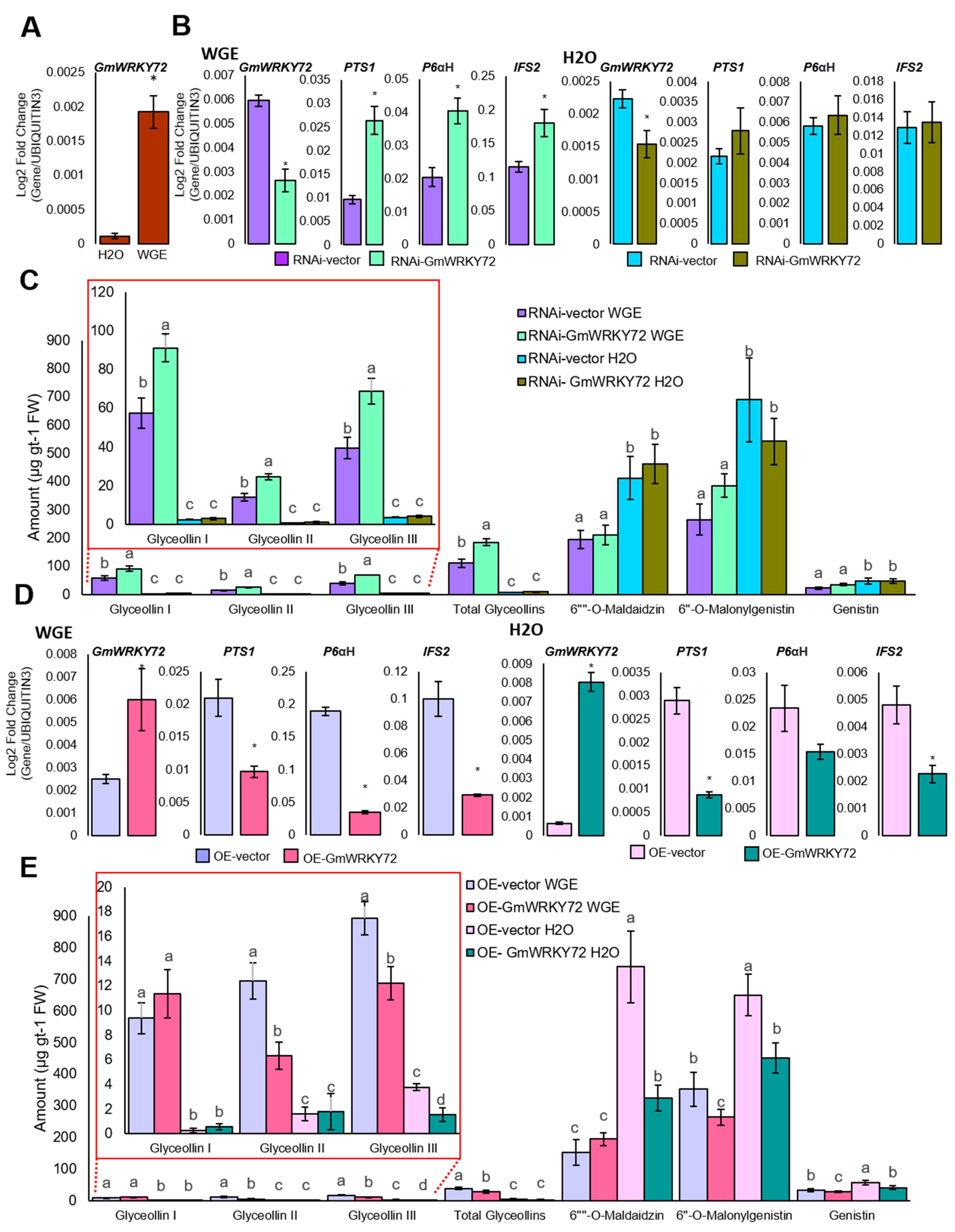 Plants 13 03036 g003