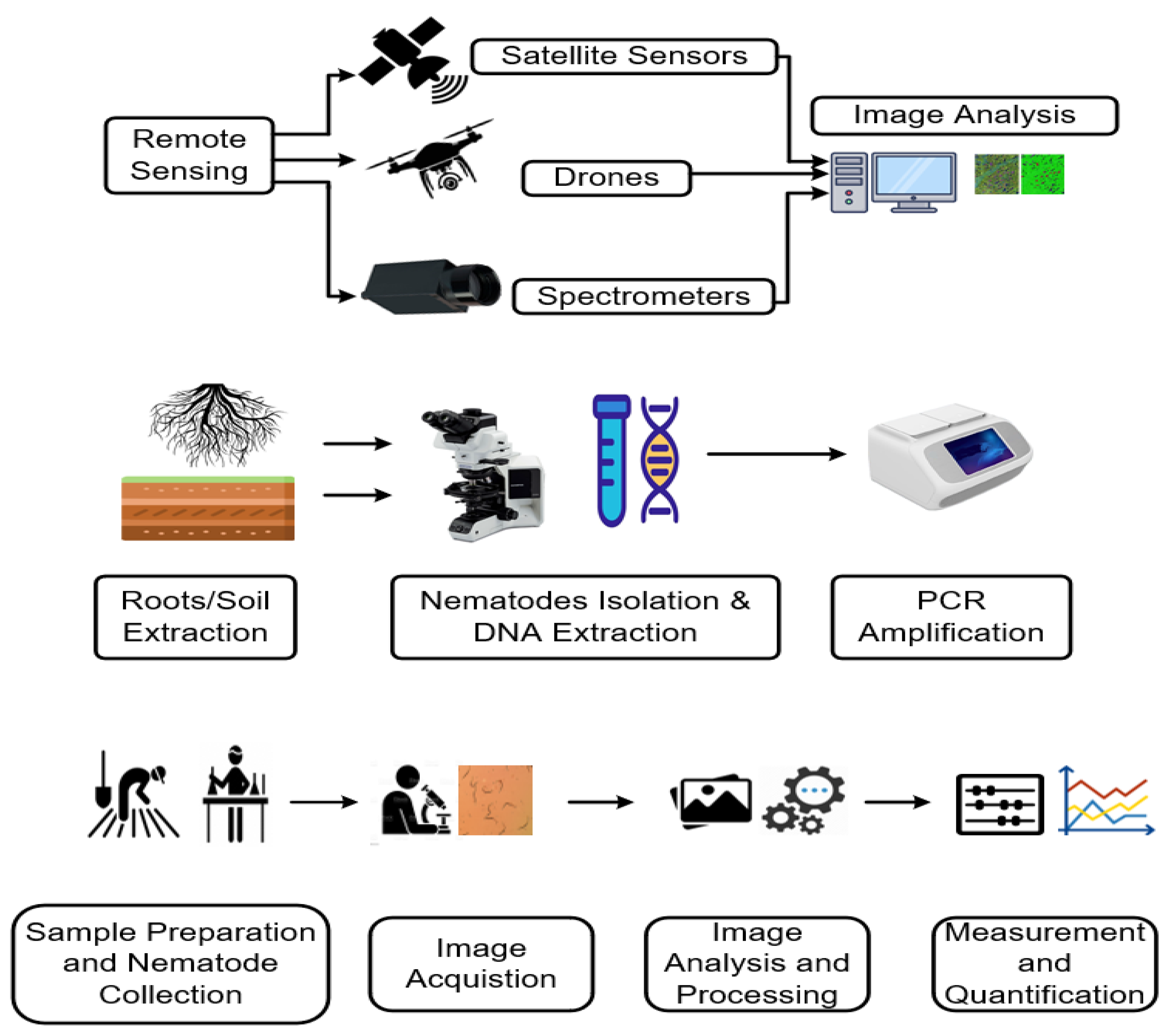 Plants 13 03041 g001