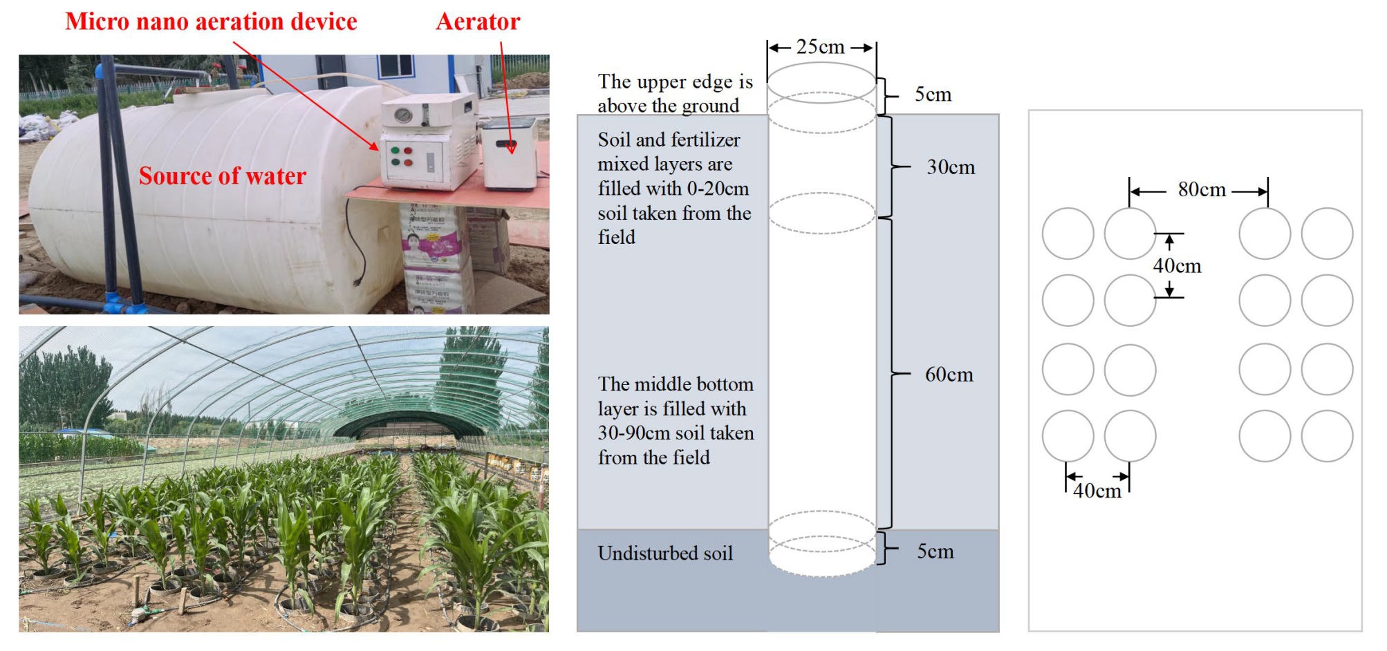 Plants 13 03046 g002