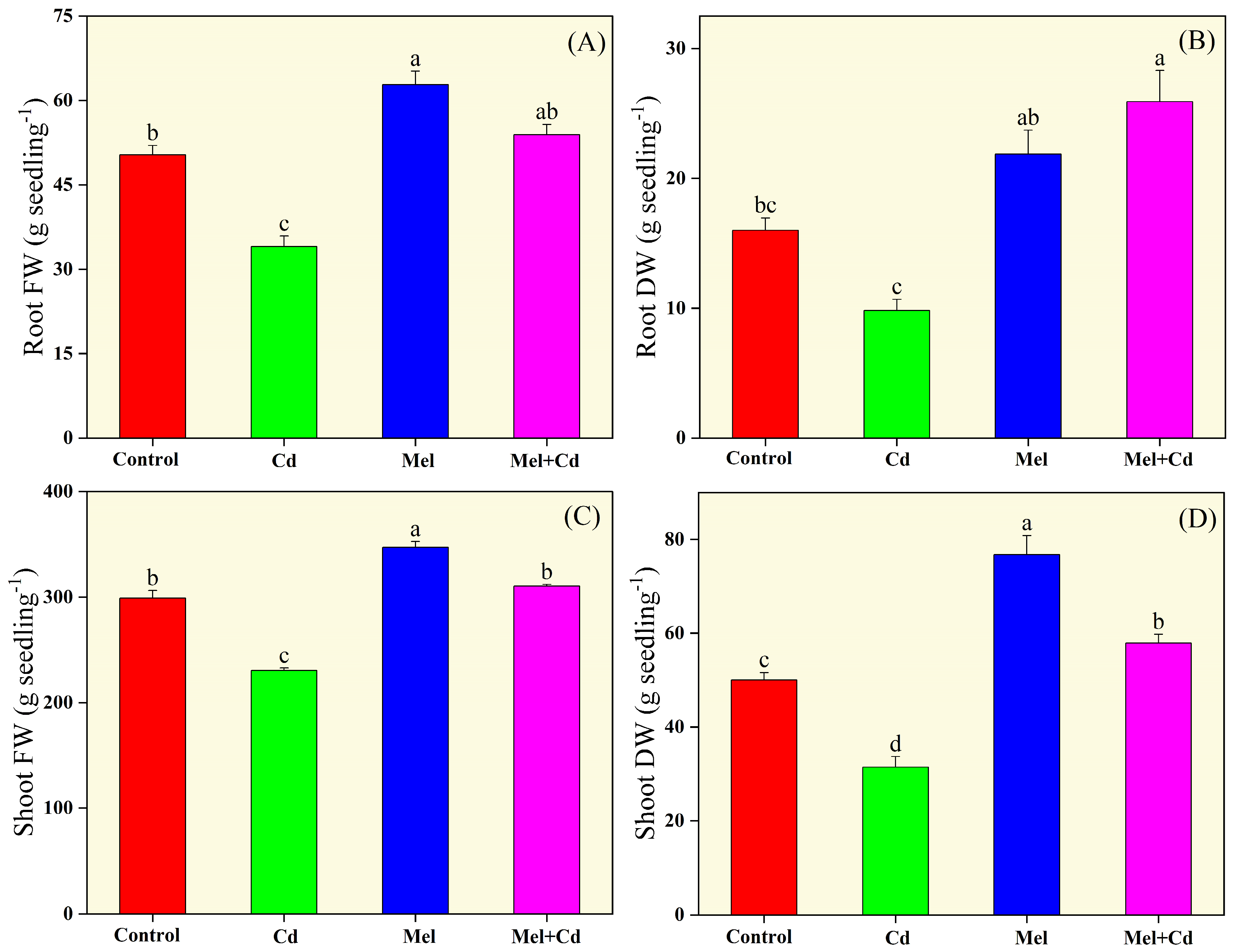 Plants 13 03049 g001