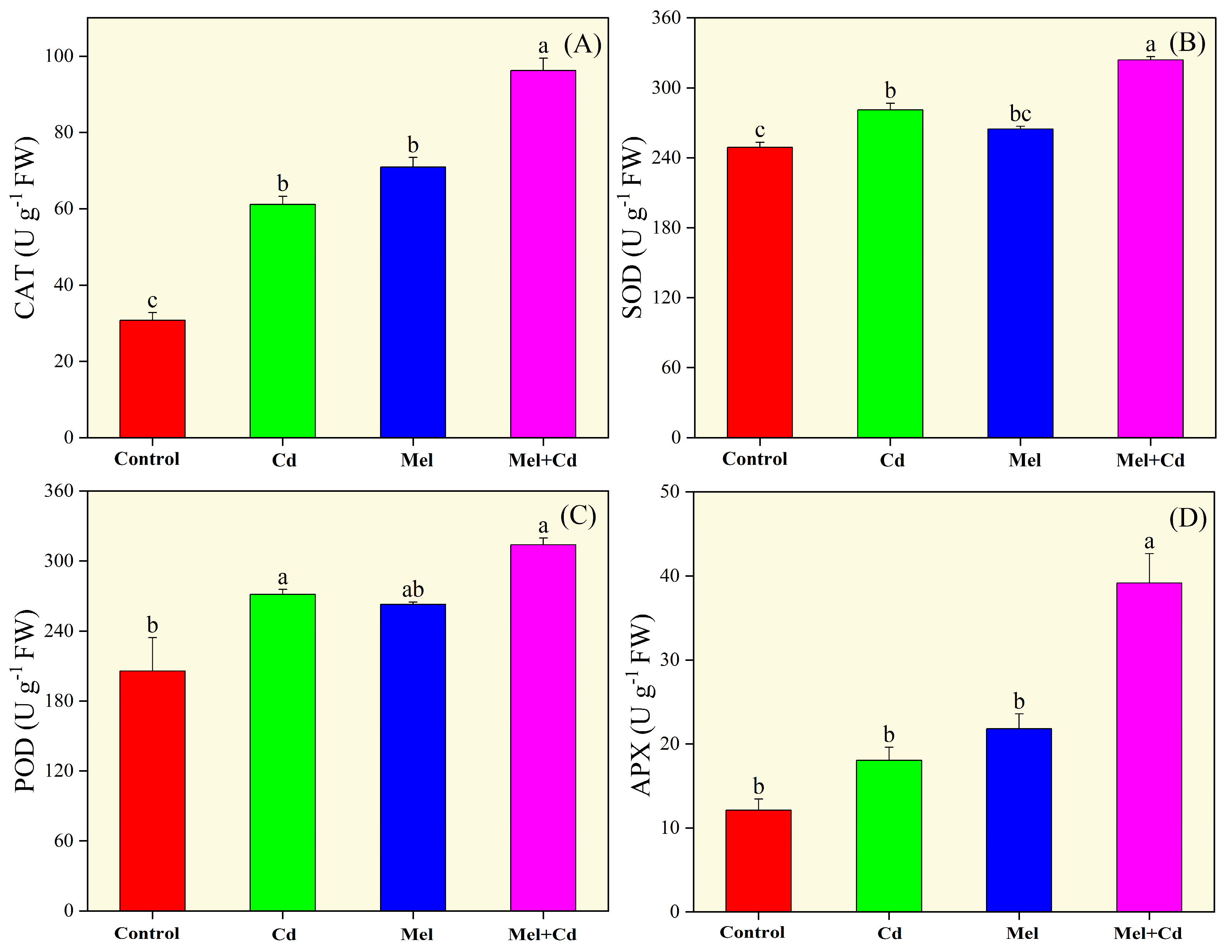 Plants 13 03049 g006
