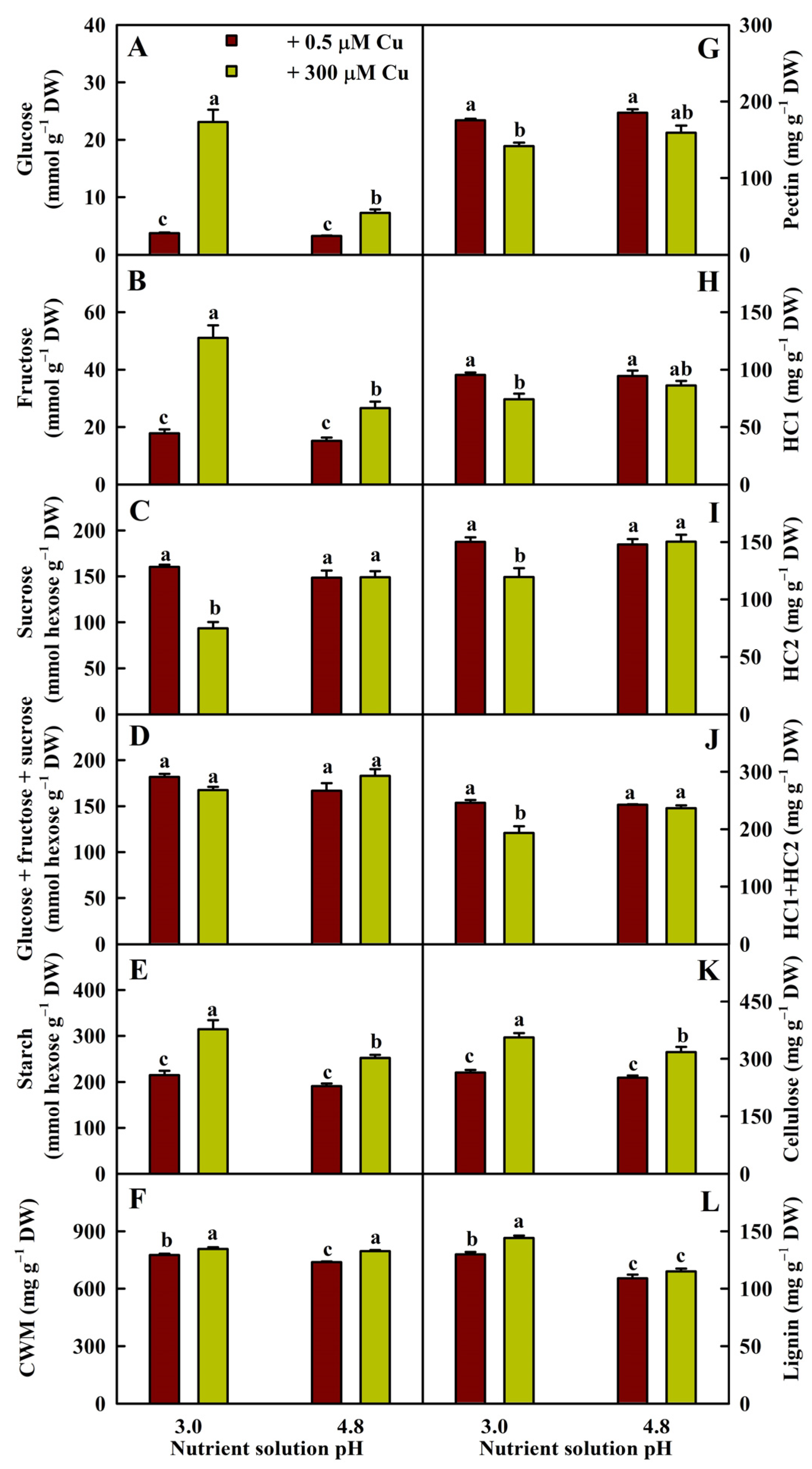 Plants 13 03054 g003