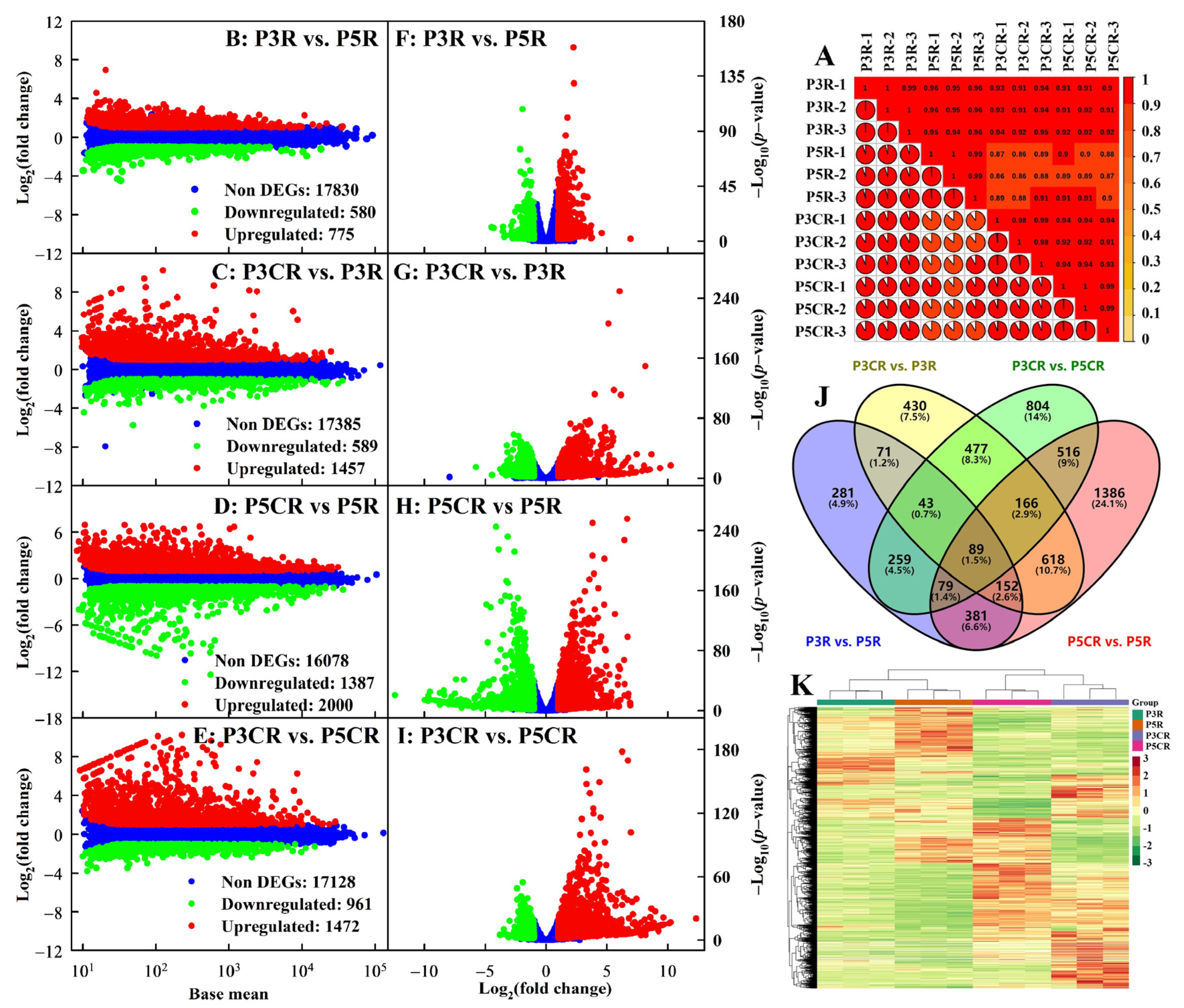 Plants 13 03054 g004
